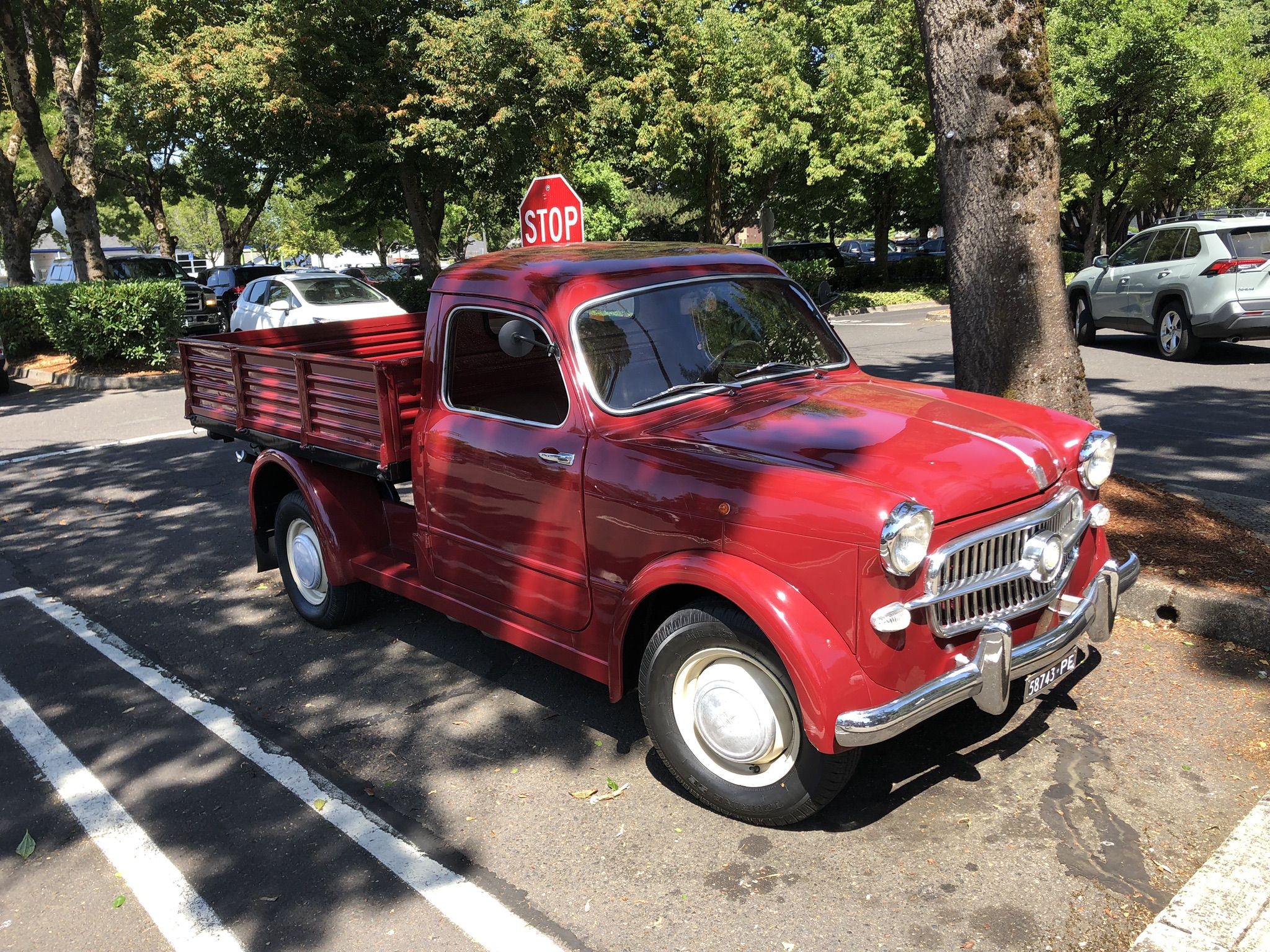 Curbside Classic: 1956 Fiat 1100 Pickup - The Cutest Shopping Cart At Costco 7 IMG 3637
