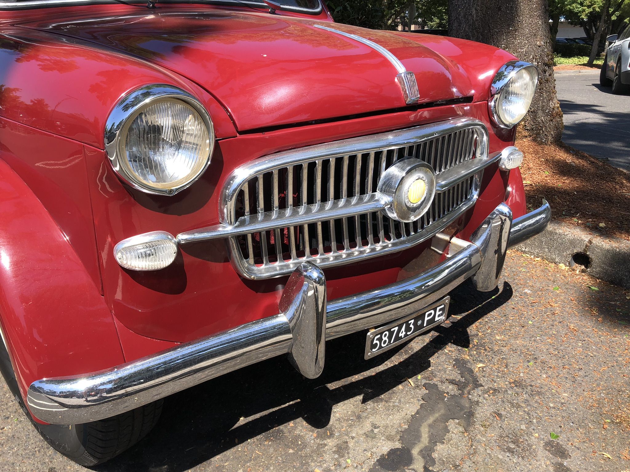 Curbside Classic: 1956 Fiat 1100 Pickup - The Cutest Shopping Cart At Costco 9 IMG 3638