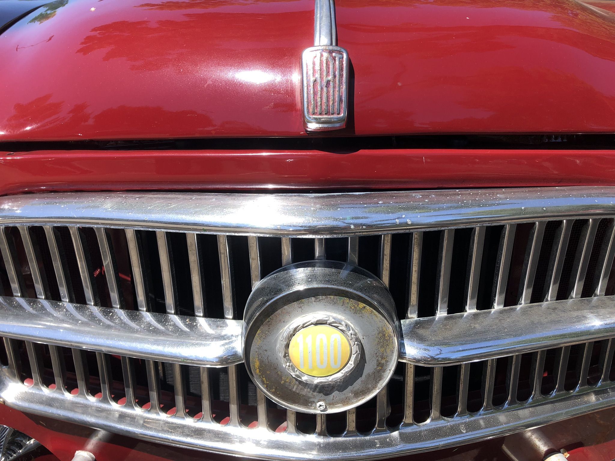 Curbside Classic: 1956 Fiat 1100 Pickup - The Cutest Shopping Cart At Costco 10 IMG 3649
