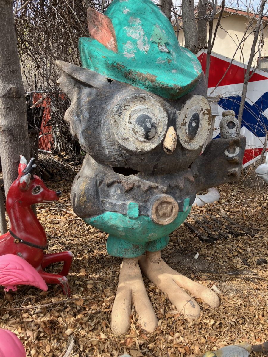 IMG 3693