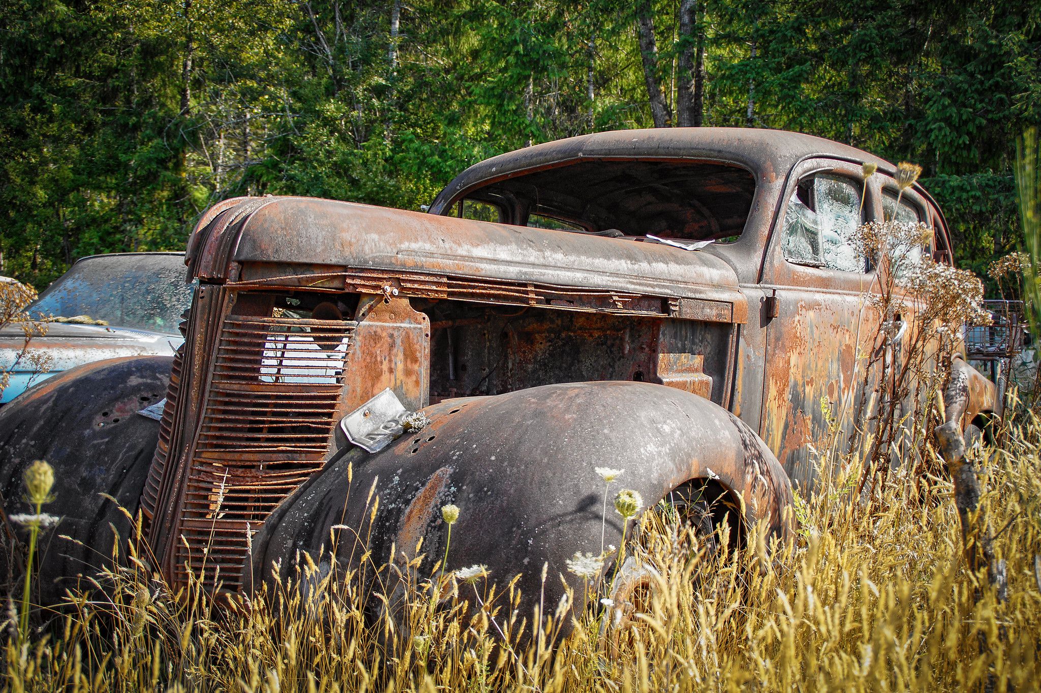 54765452681 6a4946d31b k