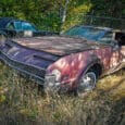 Humans can certainly be cruel – how else could you explain the enjoyment so many of us derive from junkyard pictures? As sad as the subject matter always is, there’s [&hellip;]