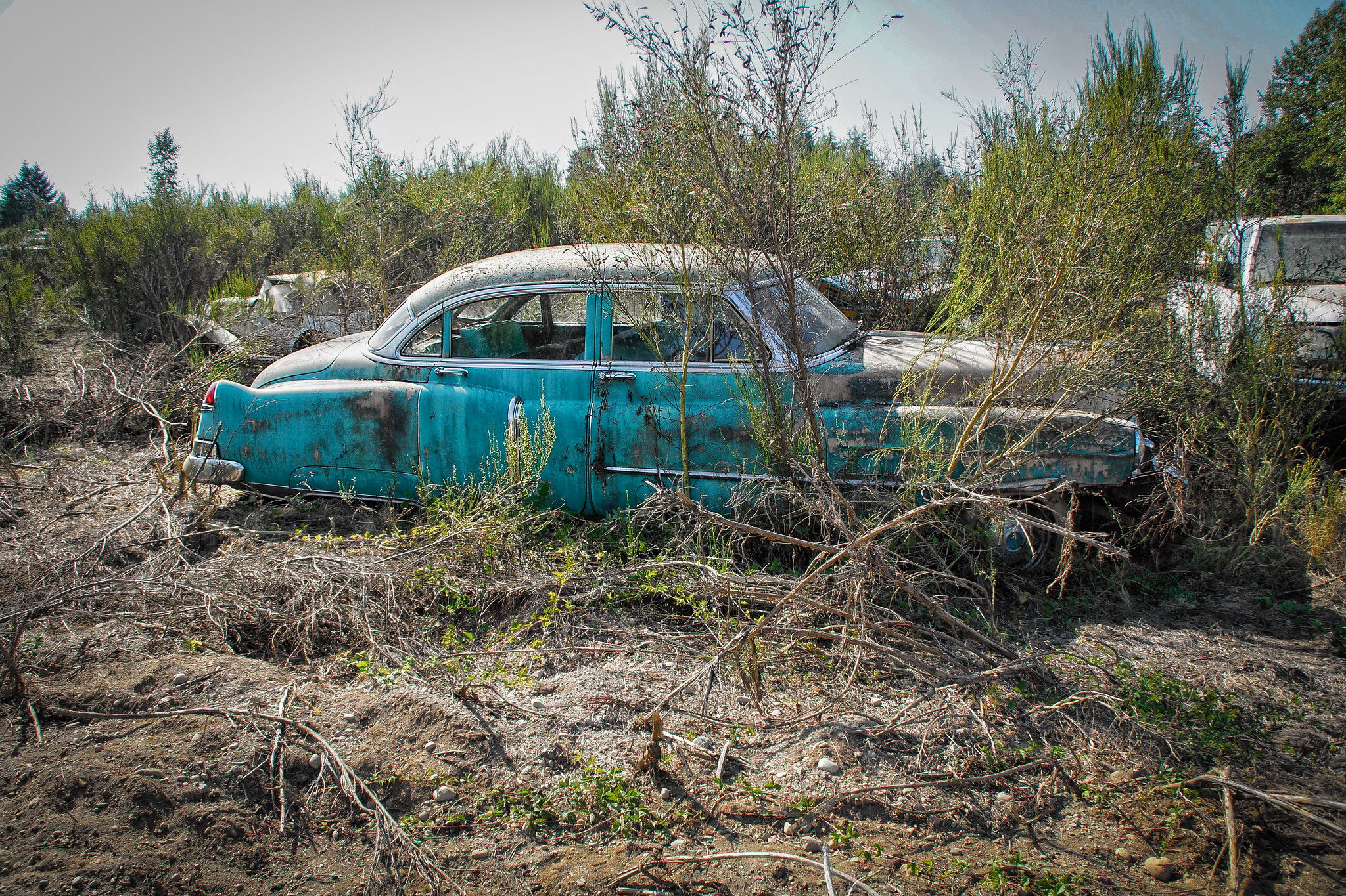 Picture of an early 1950s Cadillac
