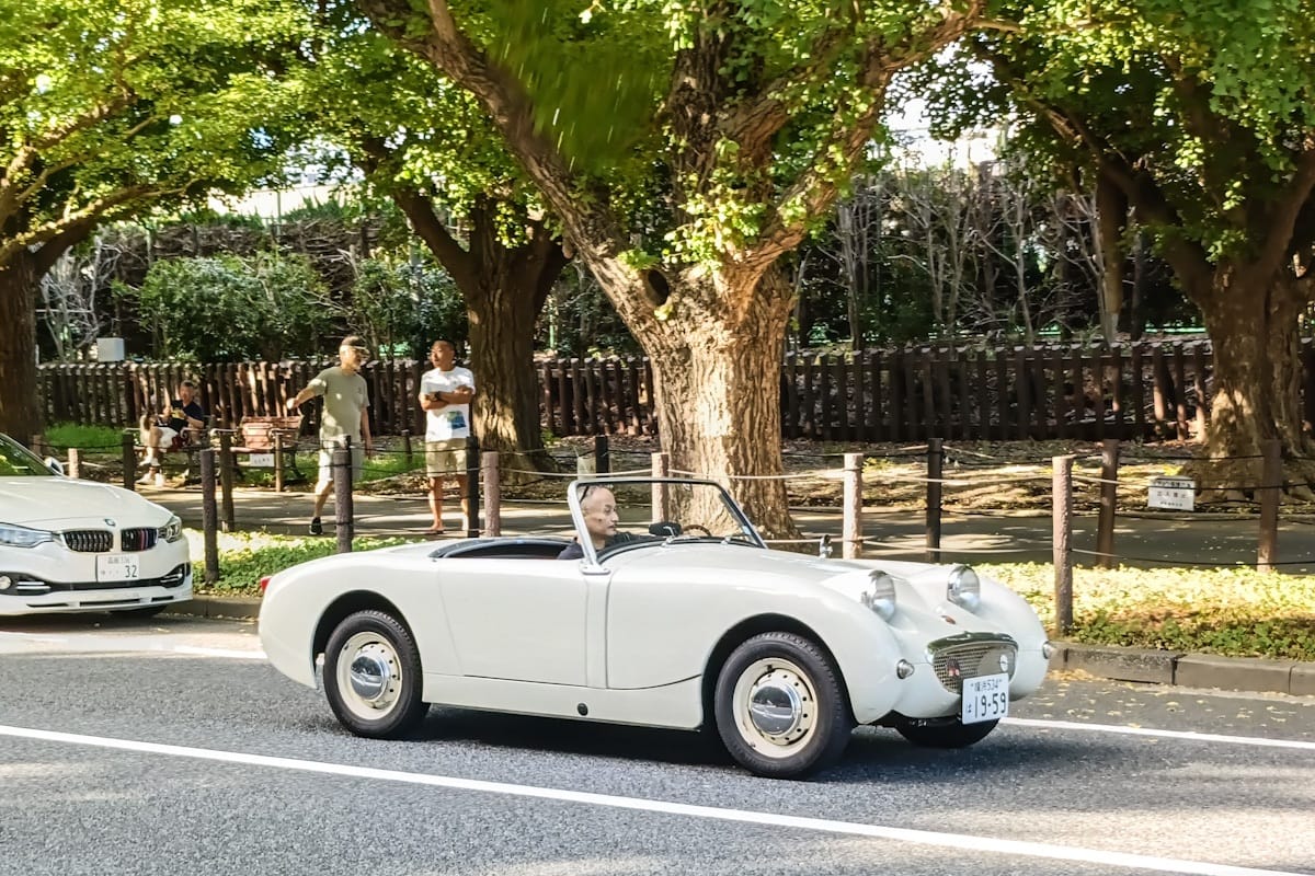T87’s Singles Collection (Summer 2025 Edition) – Part 2: British & German Cars 1 IMG20250907080825 edited