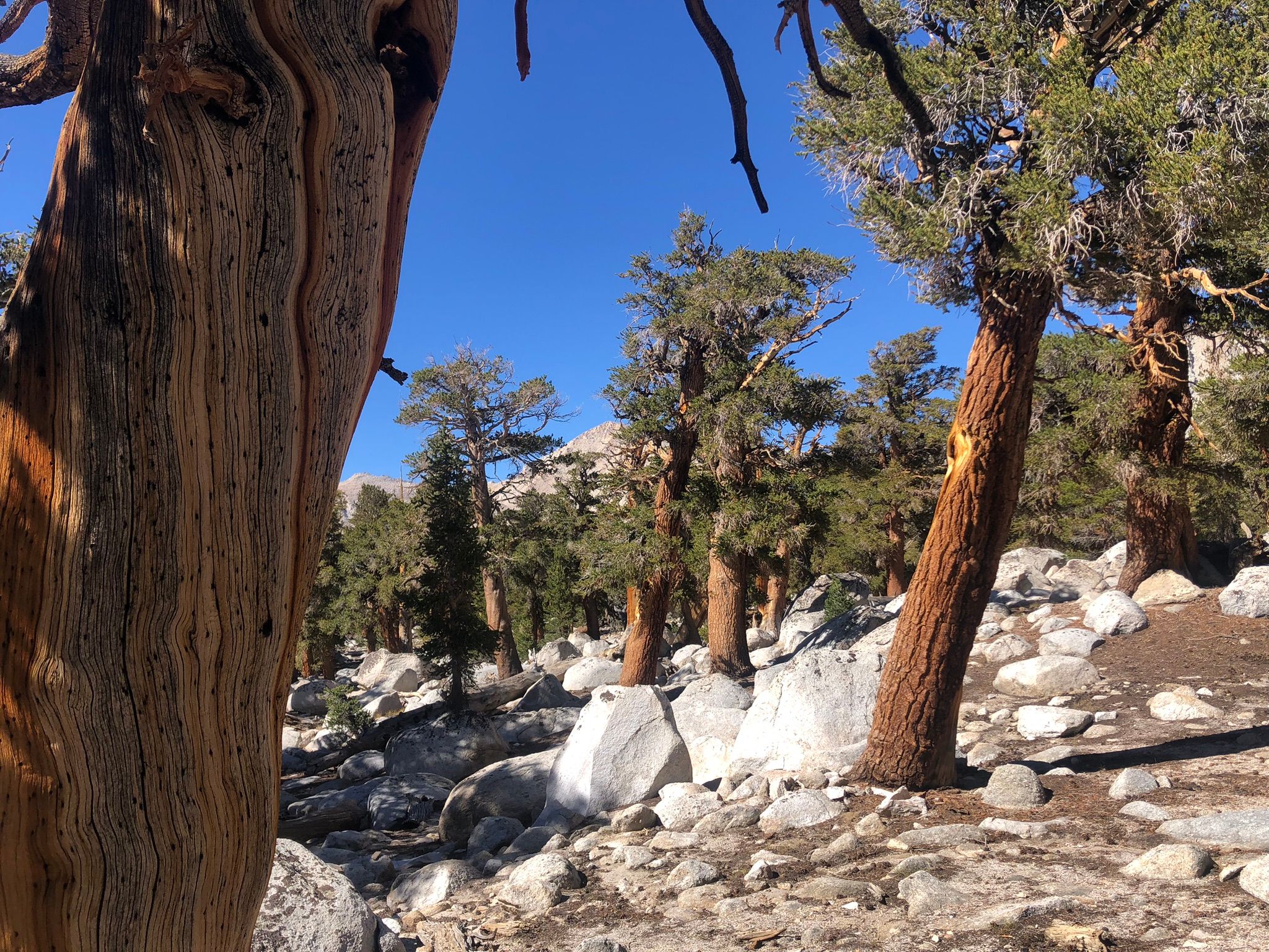 I Took Up Backpacking At Age 72 - And Now I'm Hooked 25 IMG 3834
