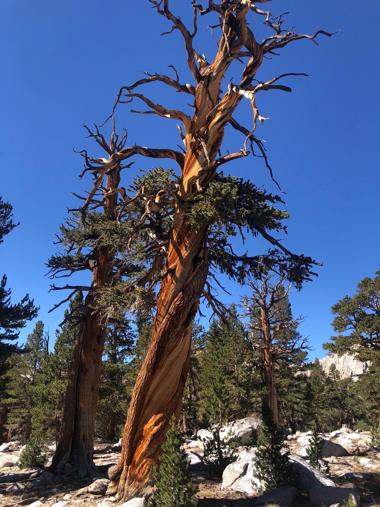 I Took Up Backpacking At Age 72 - And Now I'm Hooked 24 IMG 3838