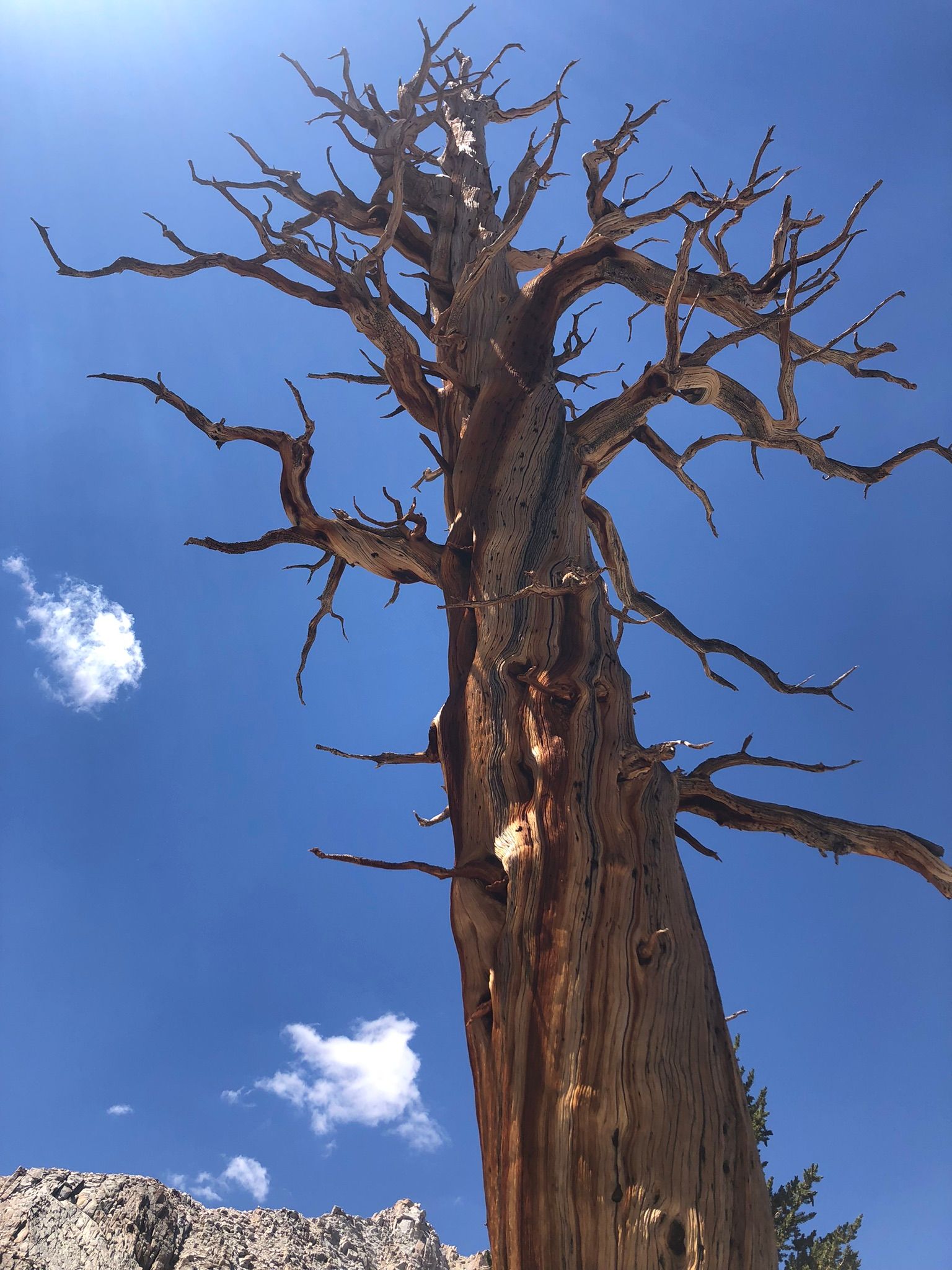 I Took Up Backpacking At Age 72 - And Now I'm Hooked 27 IMG 3846