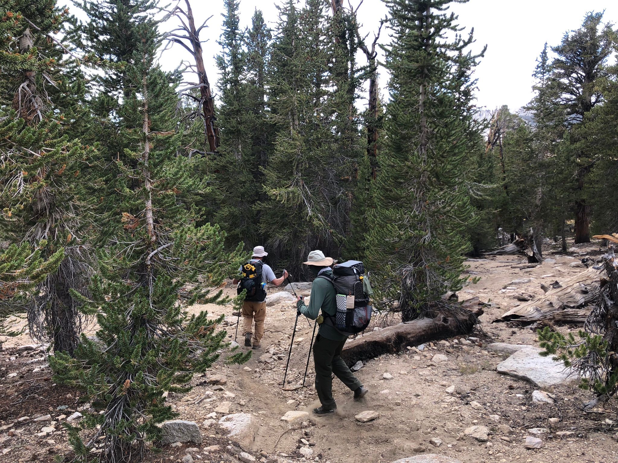 I Took Up Backpacking At Age 72 - And Now I'm Hooked 63 IMG 3948 1