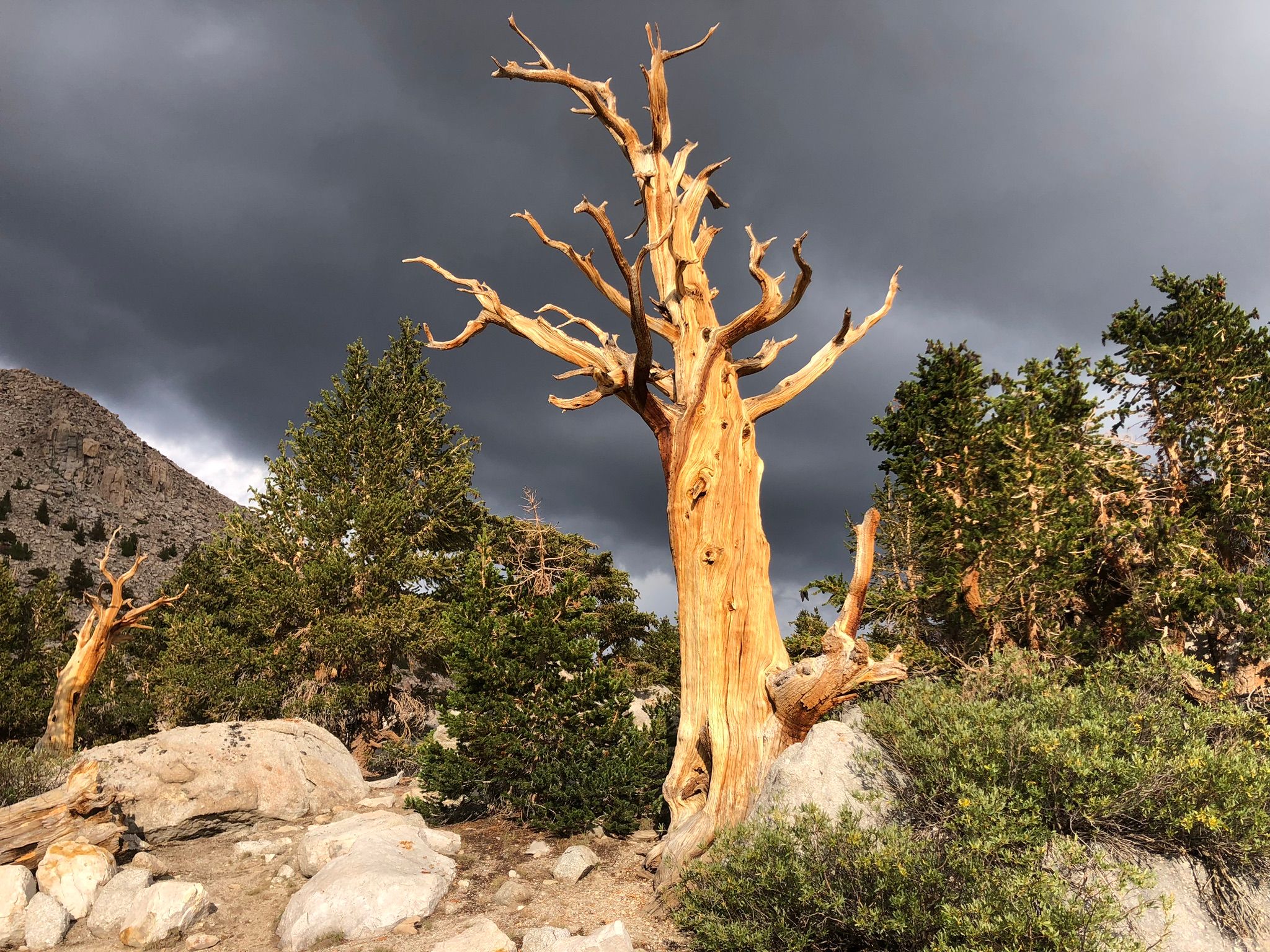 I Took Up Backpacking At Age 72 - And Now I'm Hooked 66 IMG 3976 1
