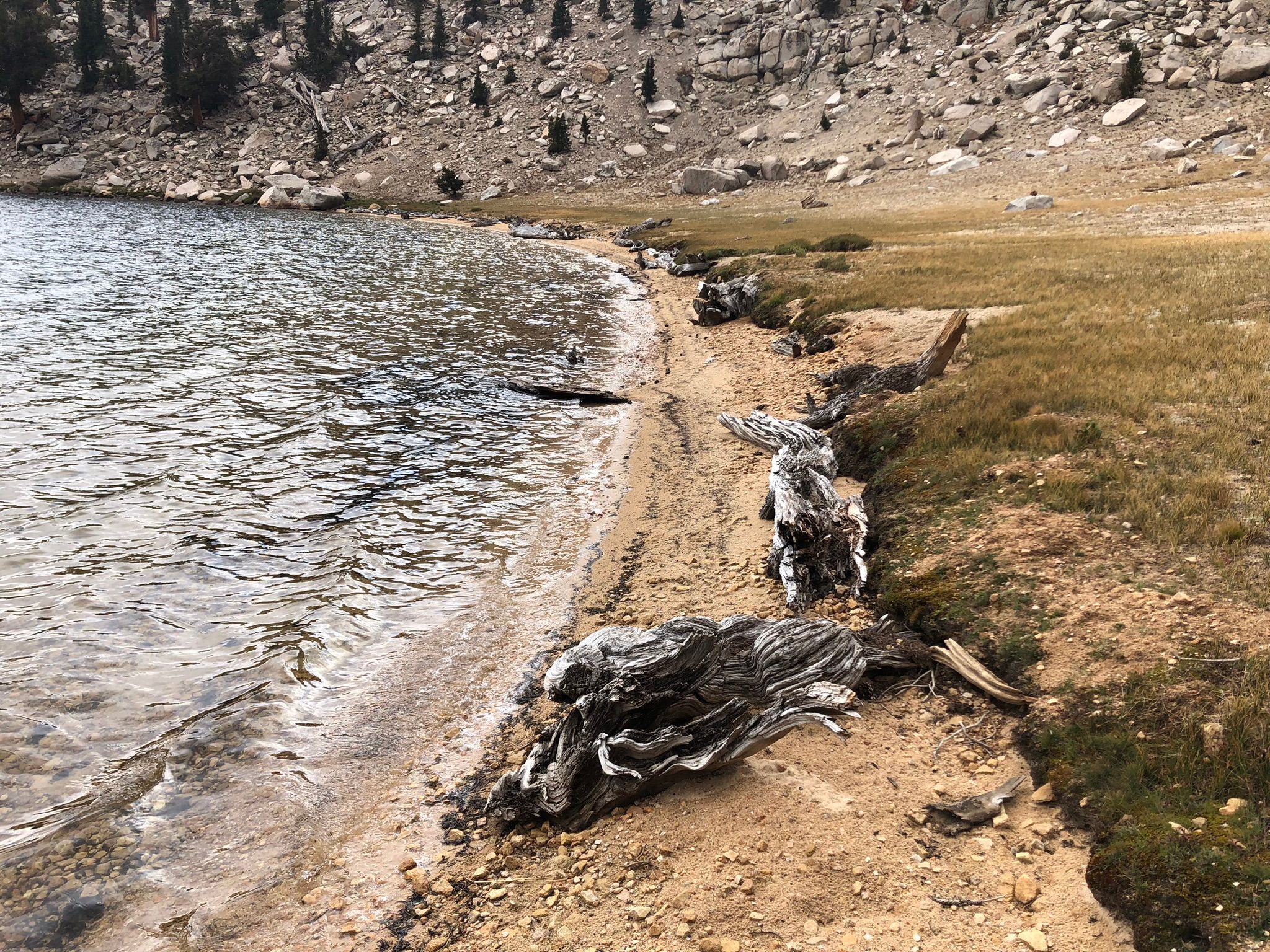 I Took Up Backpacking At Age 72 - And Now I'm Hooked 71 IMG 3979 1