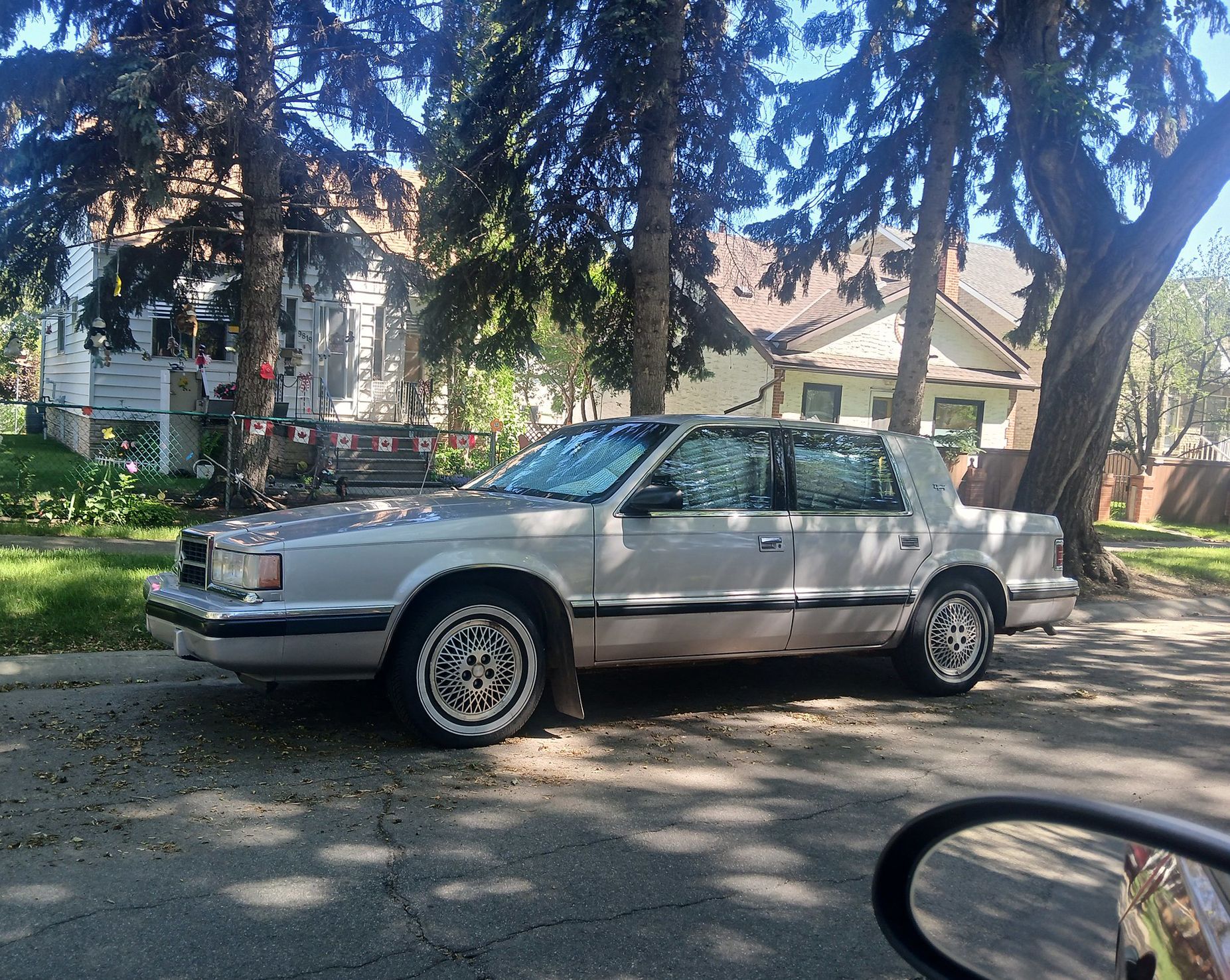 Curbside Finds From The Cohort In Canada 2 54625753818 f9ea18f094 k