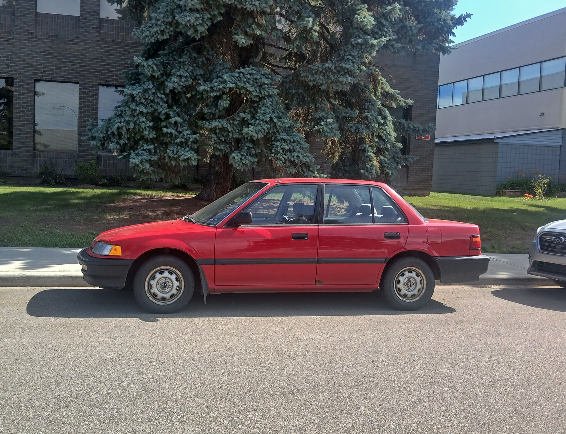 Curbside Finds From The Cohort In Canada 8 54649029856 c7c59e76bd k