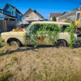 Over the years, we’ve had a few “green” VWs here at CC, from those in that hue to some with actual greenery growing on them. This Type 3 Squareback adds [&hellip;]