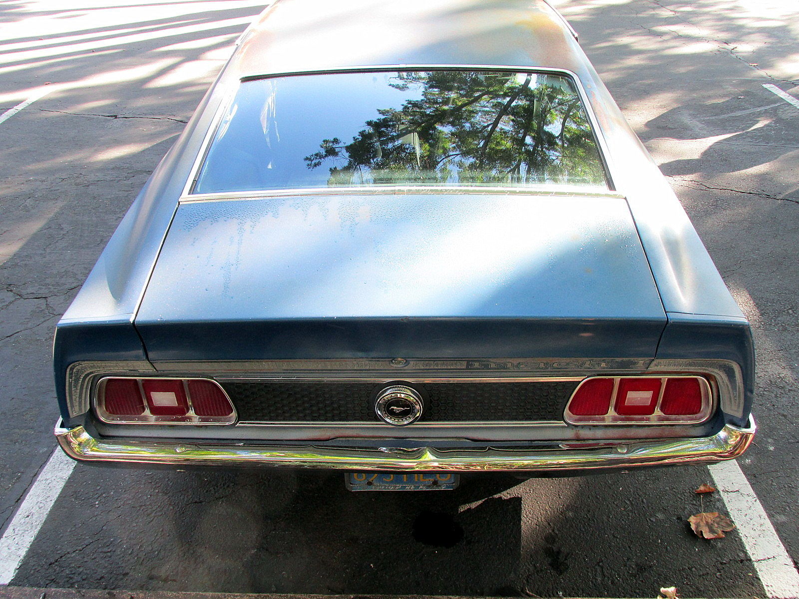 1973 Ford Mustang Mach 1: One Owner Since New, With Q-Code 351 And 4-Speed 14 Mustang Mach1 1973 004
