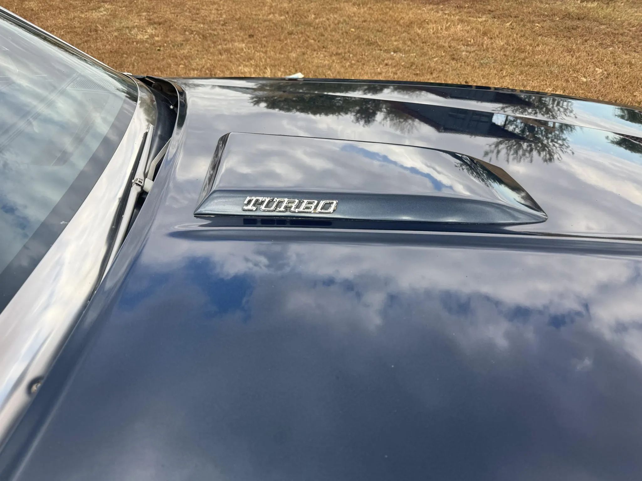 Rare Survivor: 1981 Chevrolet Monte Carlo Turbo V6 – Forgotten Chevy Still In Great Shape 2 Turbo hood bulge on a Dark Blue 1981 Chevrolet Monte Carlo