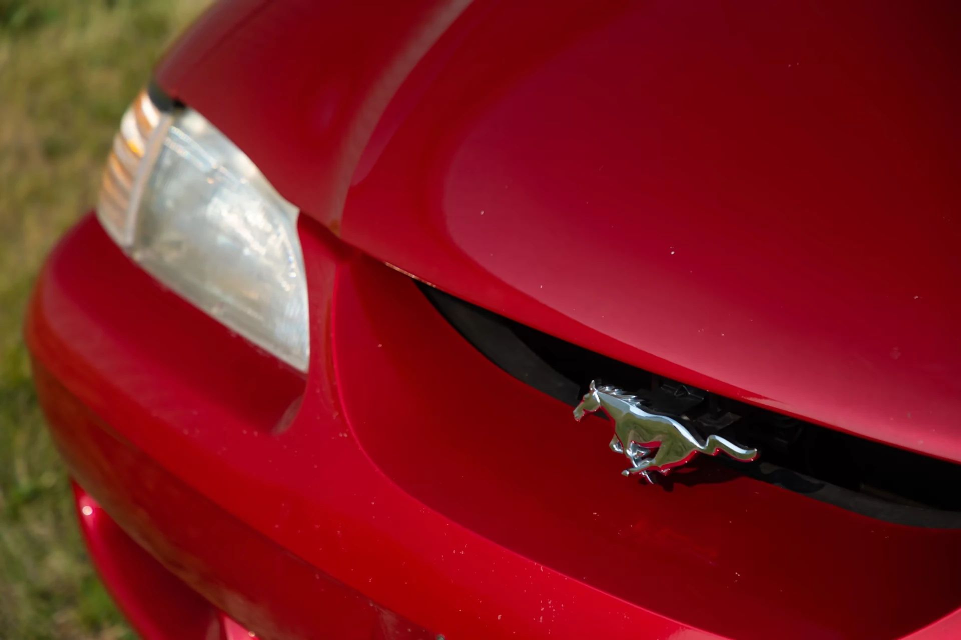 Rare 1995 Ford Mustang GTS Was A Short-Lived Reinvention Of The Old LX 5.0L 12 Grille, headlight, and pony badge of a red 1995 Ford Mustang