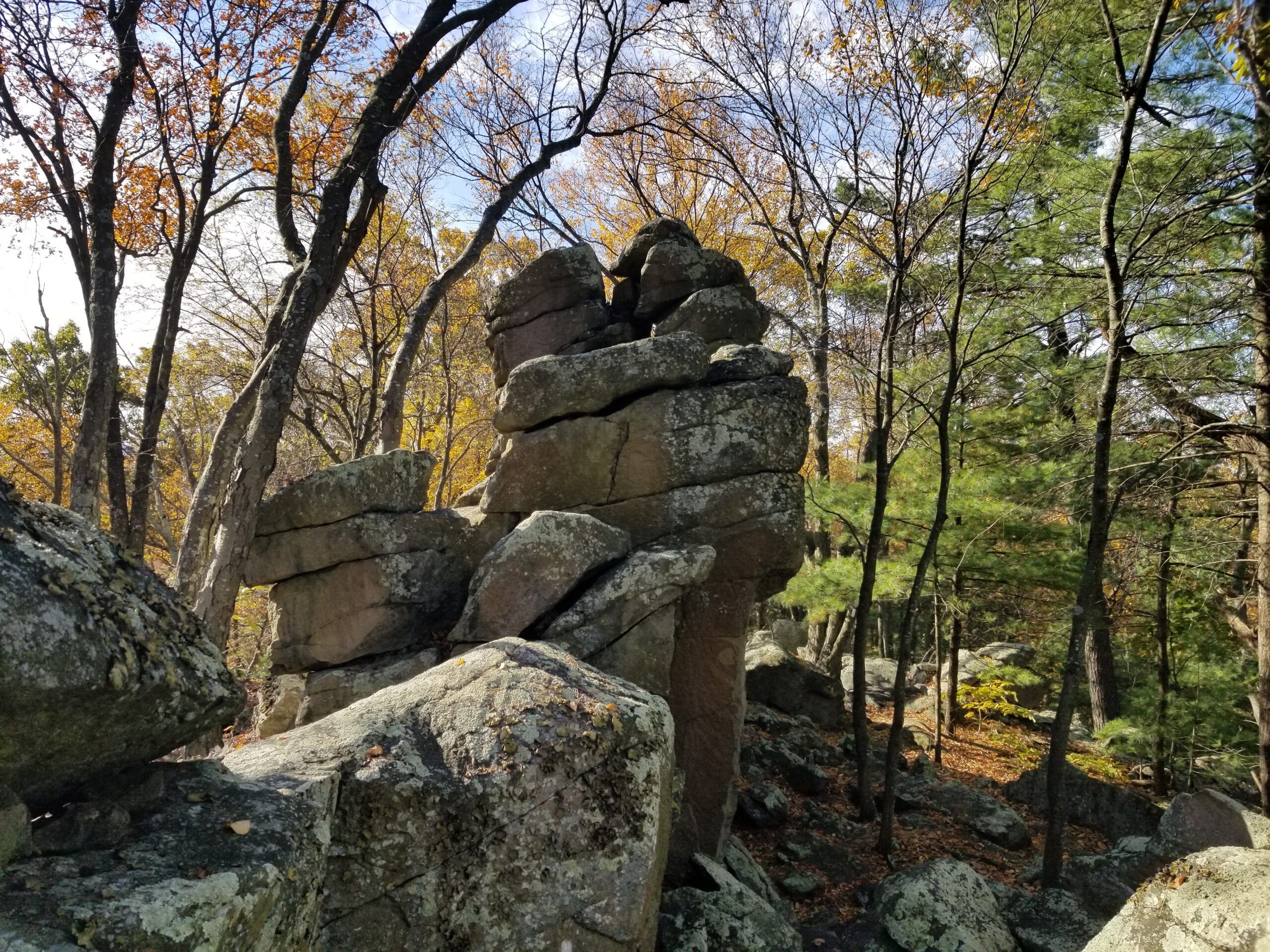 25 scaled