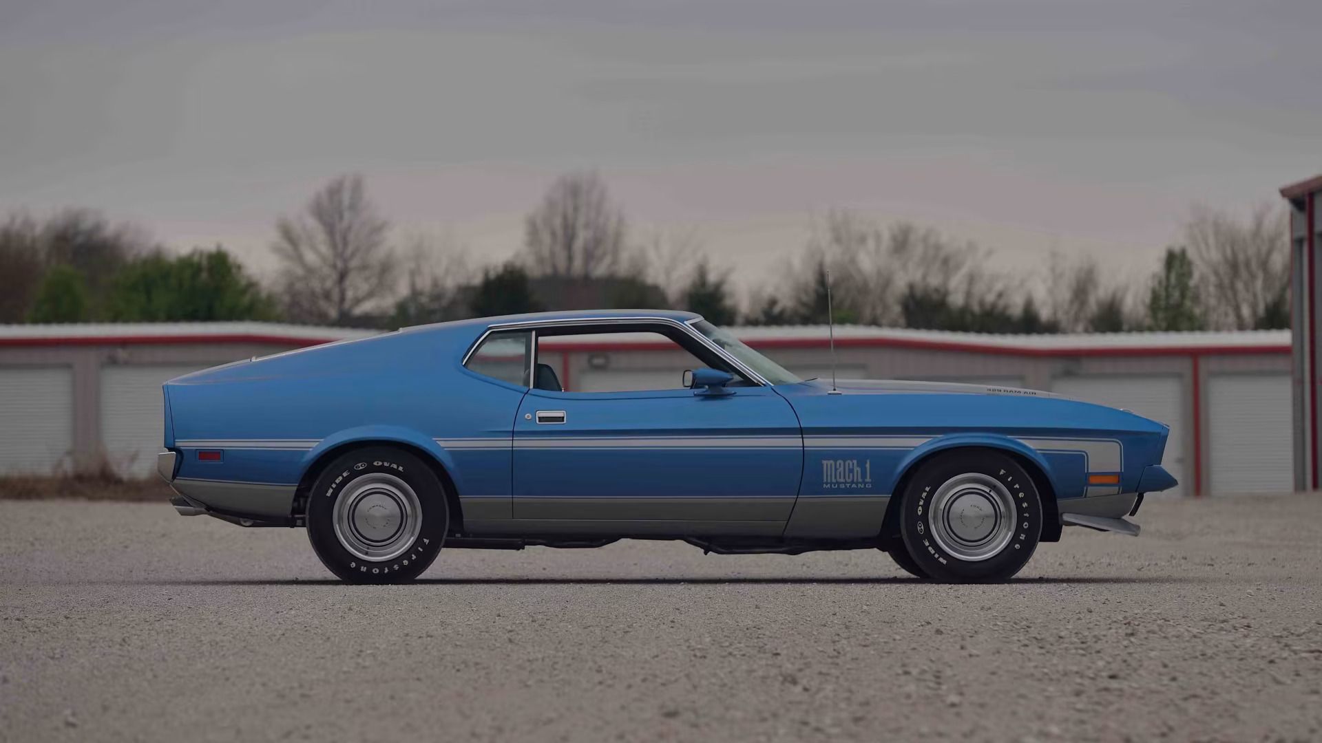 1971 Ford Mustangs: Every Color From Raven Black To Light Gold 18 Picture of 1971 Mustang Mach 1 in Silver Blue Metallic