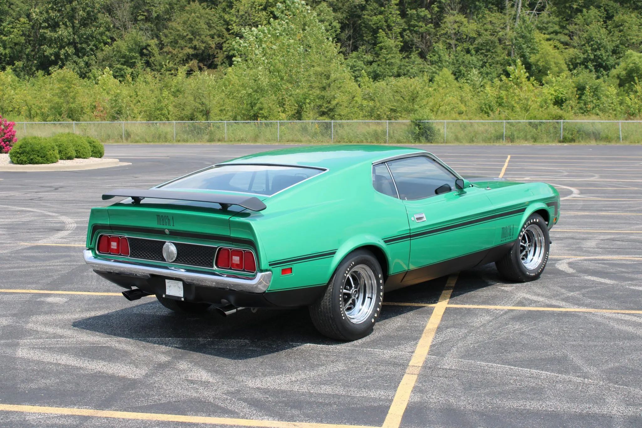 1971 Ford Mustangs: Every Color From Raven Black To Light Gold 15 Picture of 1971 Mustang Mach 1 in Grabber Green