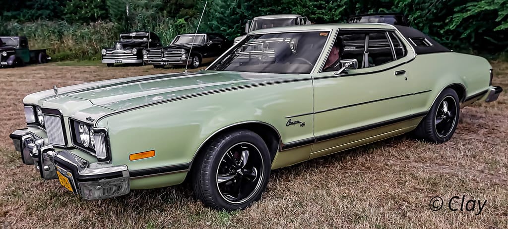 Green Cougar