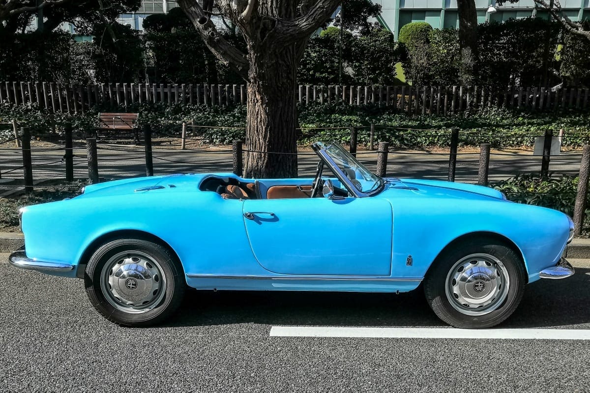 Curbside Find: 1956 Alfa Romeo Giulietta Spider: Blue Sky Thinking 4 IMG 20240218 100221 edited