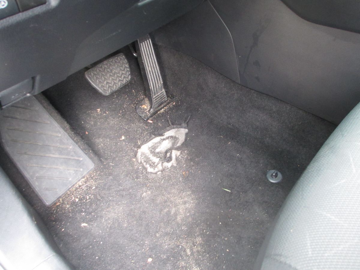 Rental Review: 2024 Toyota RAV4 – Responsible Adult Vehicle, 4 Wheels 16 IMG 2530