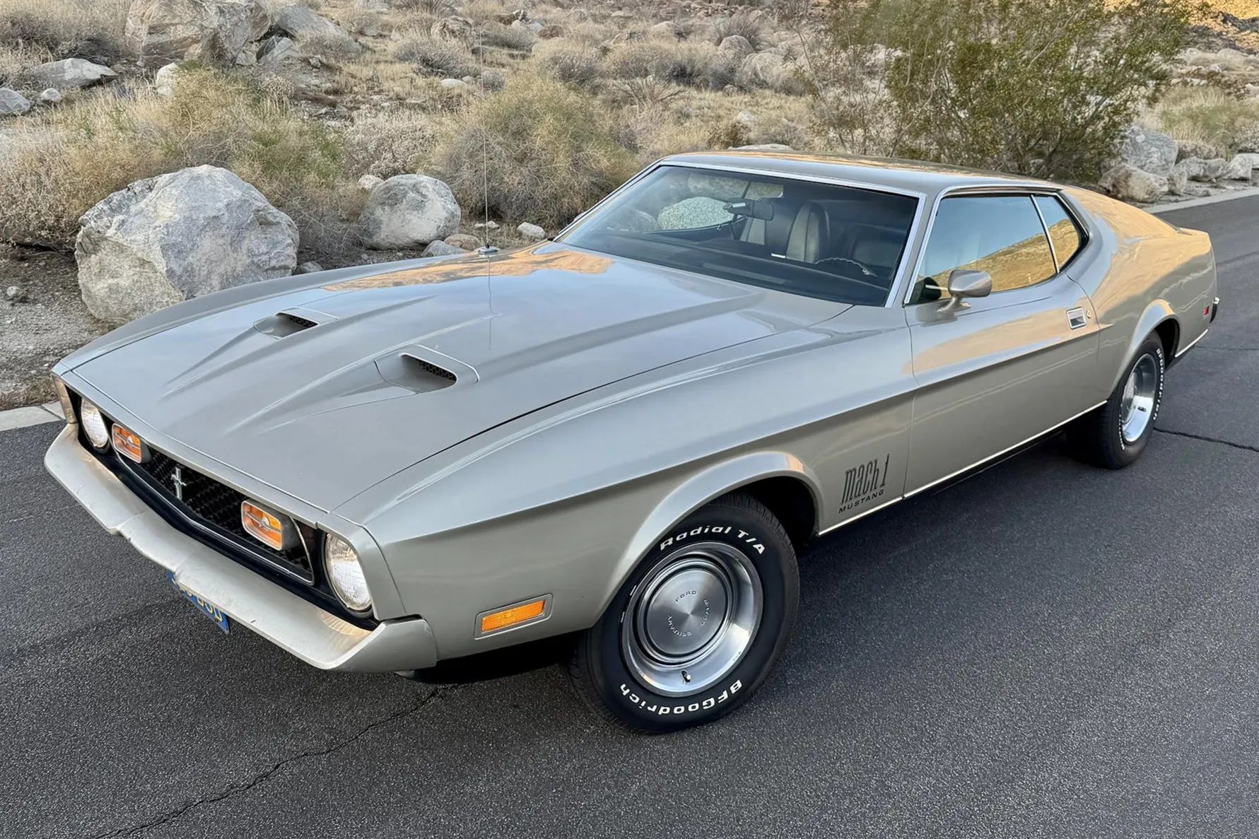 1971 Ford Mustangs: Every Color From Raven Black To Light Gold 14 Picture of 1971 Mustang Mach 1 in Light Pewter Metallic
