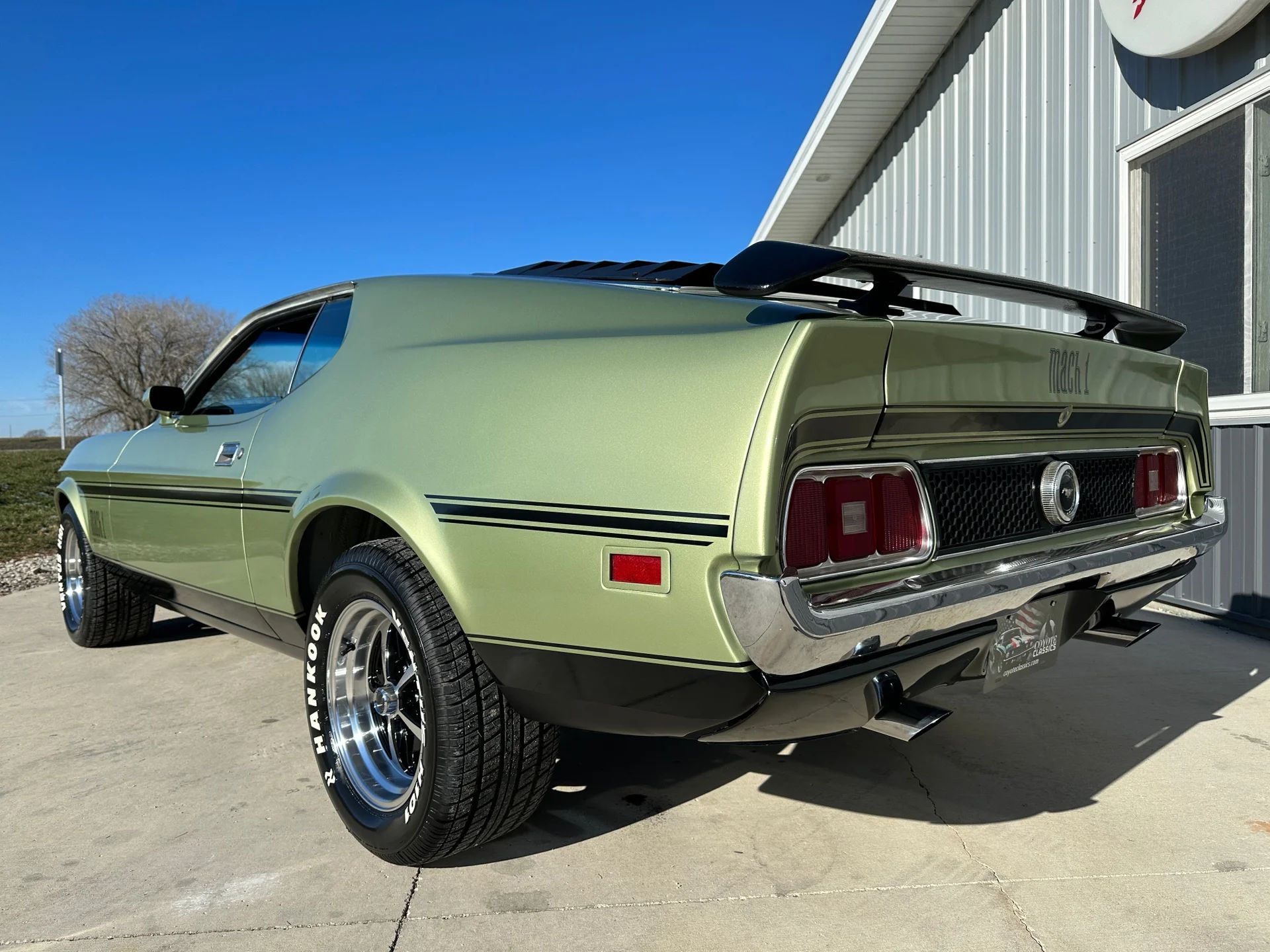 1971 Ford Mustangs: Every Color From Raven Black To Light Gold 13 Photo of 1971 Mustang Mach 1 in Medium Green Metallic