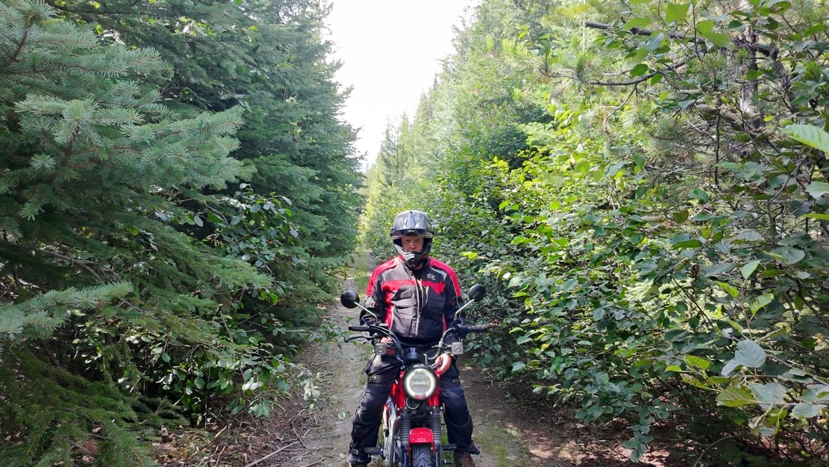 Turning 60 On Two Wheels – Part 3: 2025 Yamaha XT250 And Honda Trail 125, At The Kettle Valley Railway 20 dji fly 20250810 160418 0037 1754864083626 photo