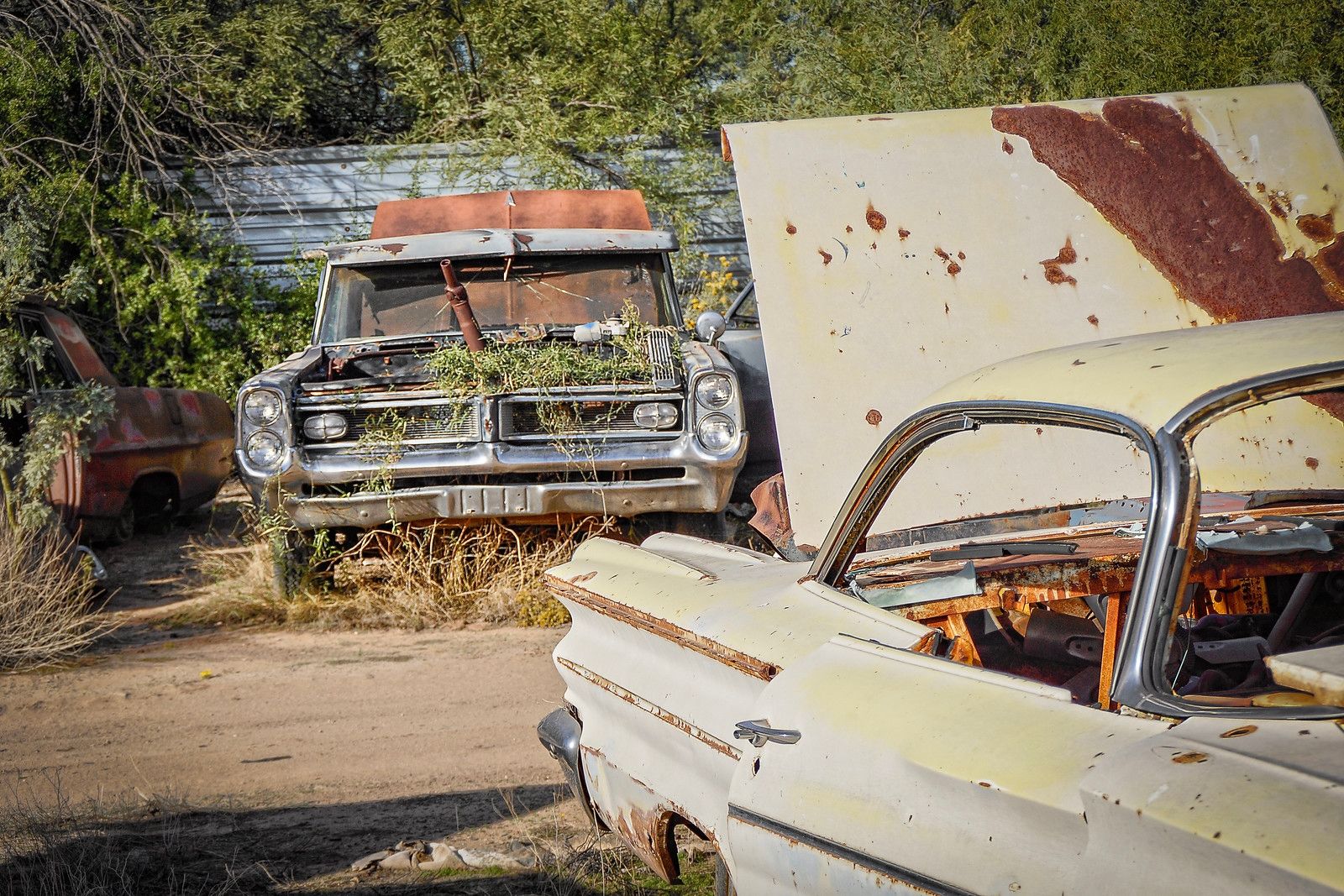More Vintage Iron From The Southwest - 2 Days At Desert Valley Auto Parts 9 2025 12 26 03 02 57