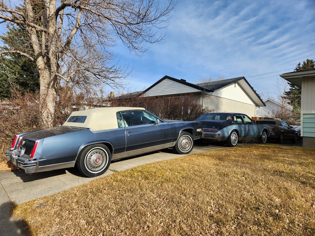 Photo of a line of '80s Cadillacs in a suburban driveway