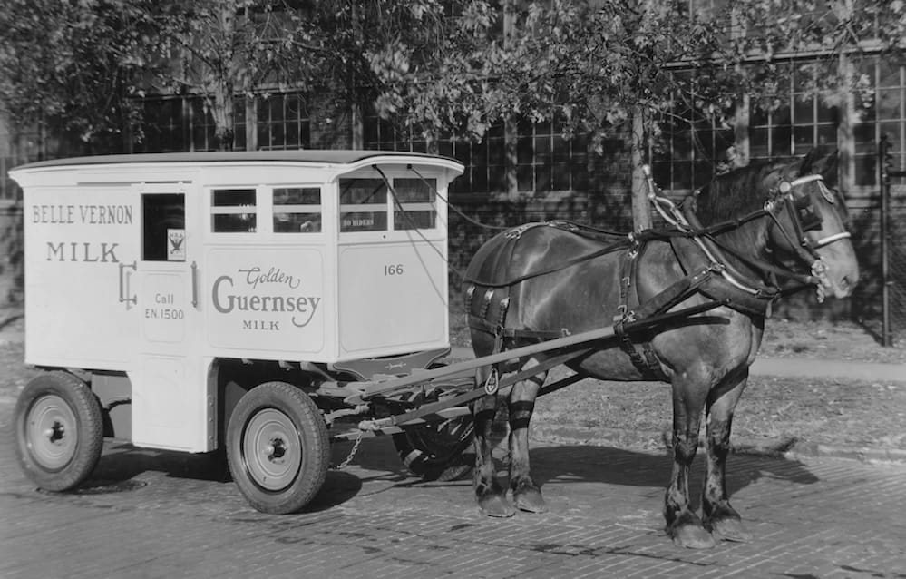 Helms Bakeries & The Twin Coach Delivery Unit: These Clever Compact Vans Used To Be "Daily At Your Door" 3 B&W photo of a horse-drawn Belle-Vernon milk wagon