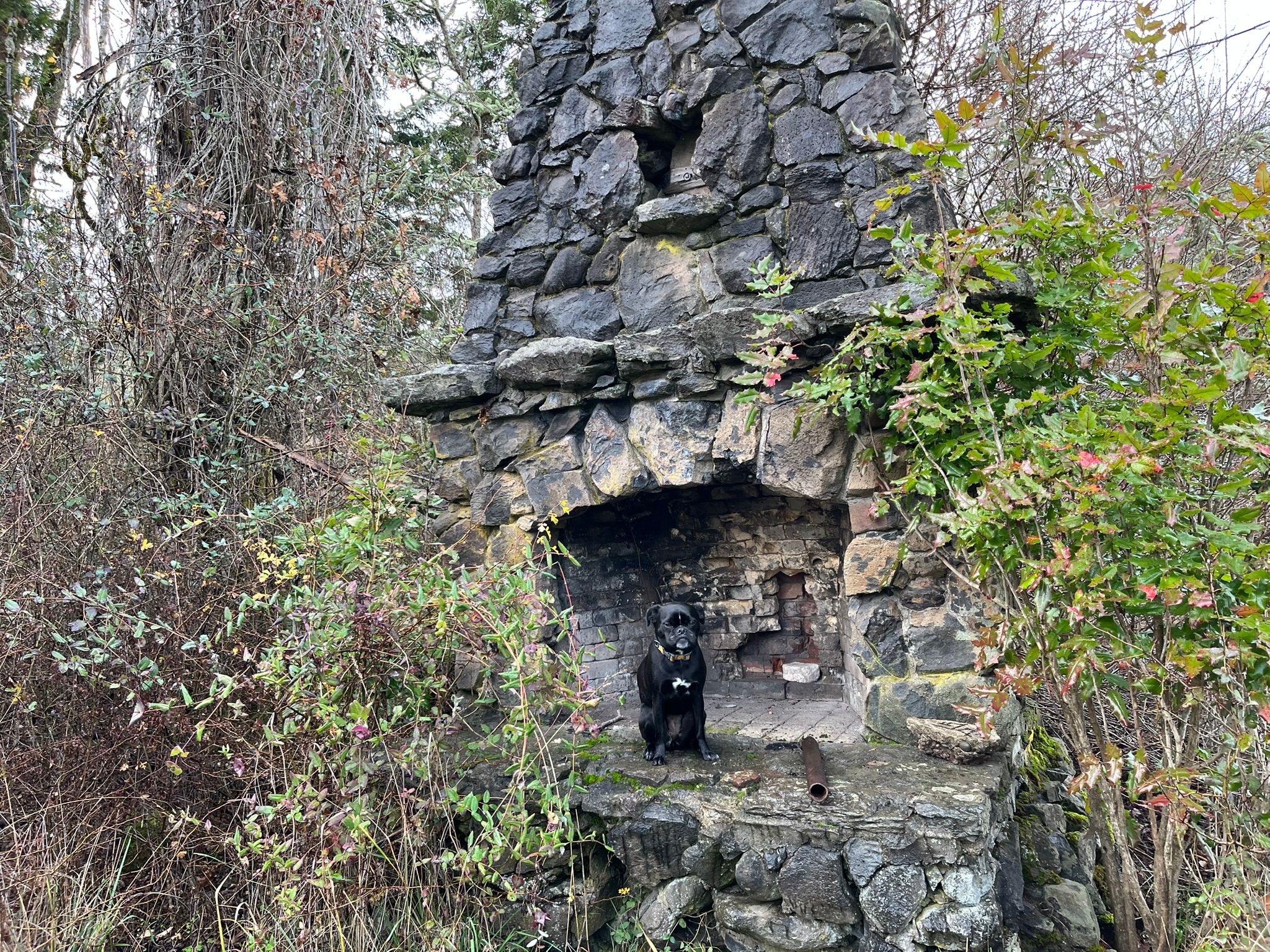 Trailside Classics: Wanda Is Stumped – Can You Help Her Out? 4 IMG 0086