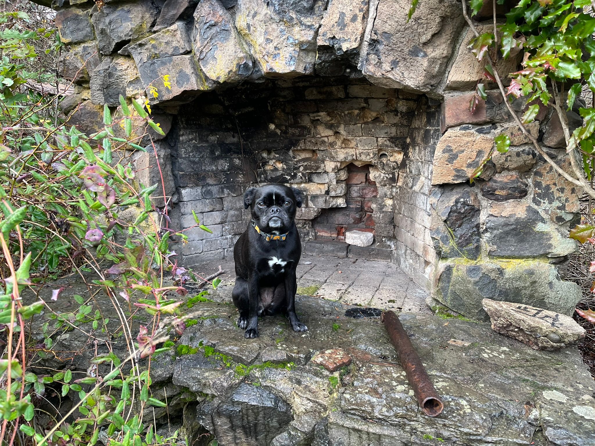 Trailside Classics: Wanda Is Stumped – Can You Help Her Out? 8 IMG 0087