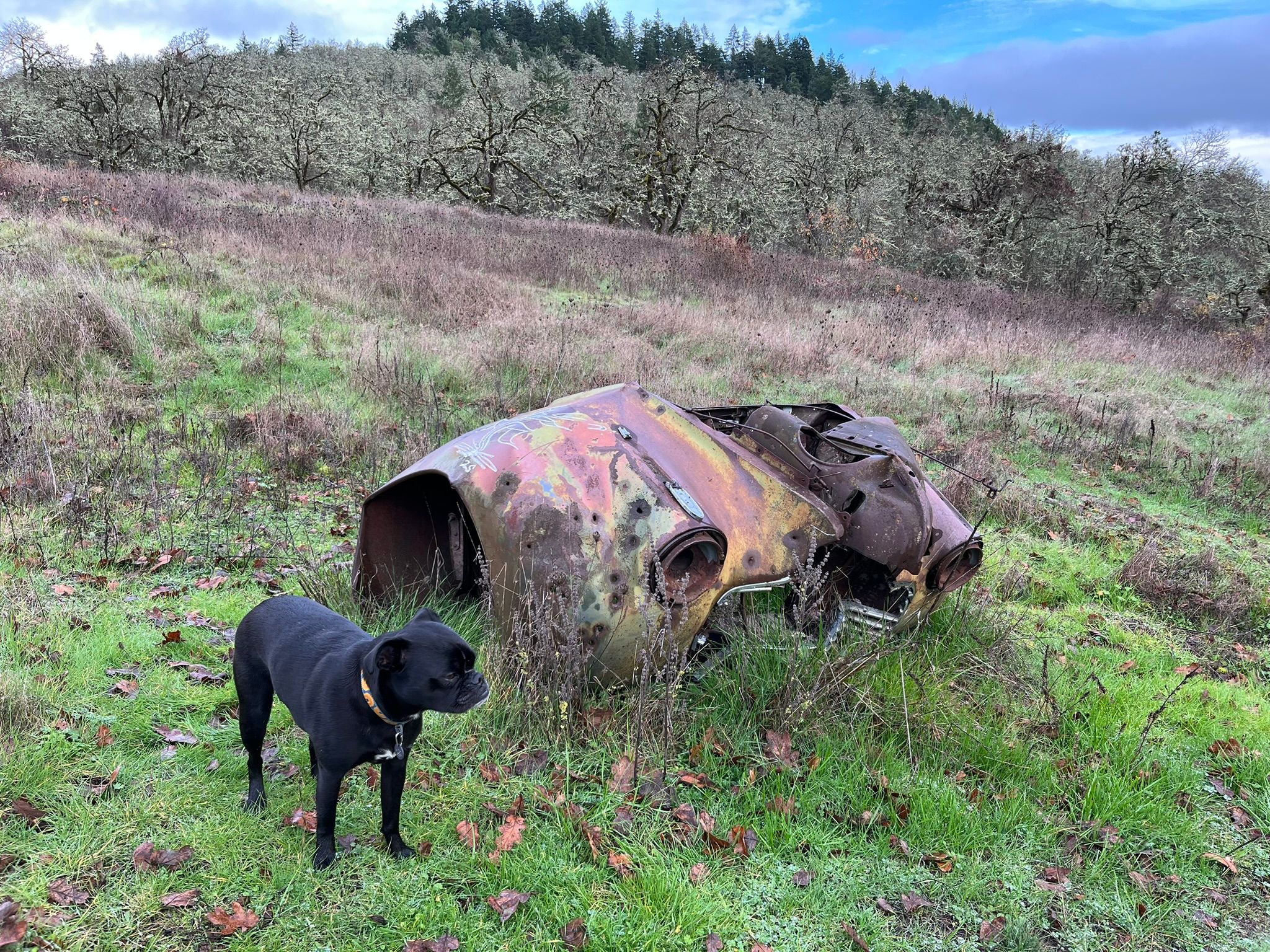 Trailside Classics: Wanda Is Stumped – Can You Help Her Out? 2 IMG 0091