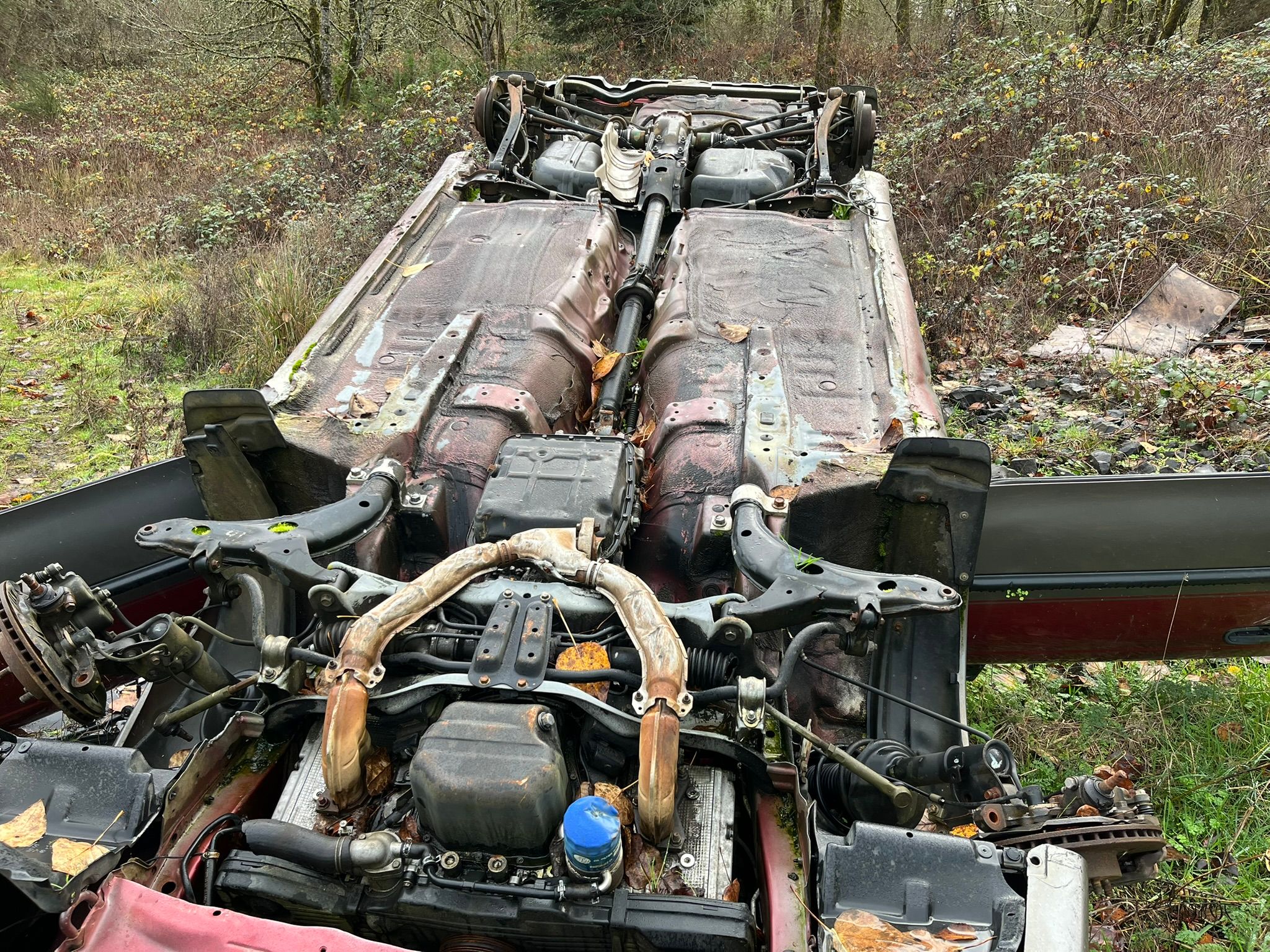 Trailside Classics: Wanda Is Stumped – Can You Help Her Out? 6 IMG 0095