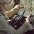 American car makers really dragged their feet with the development of fully-synchronized manual transmissions. VW got its first gear synchronized back in 1961 and most other European cars did too [&hellip;]