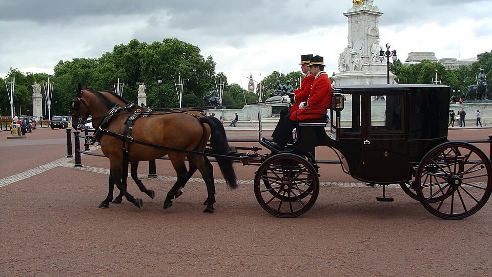 a Horse Cleveland Bay Drawn Clarence Brougham Carriage Victoria Memorial Buckingham Palace Westminster London 3795290693
