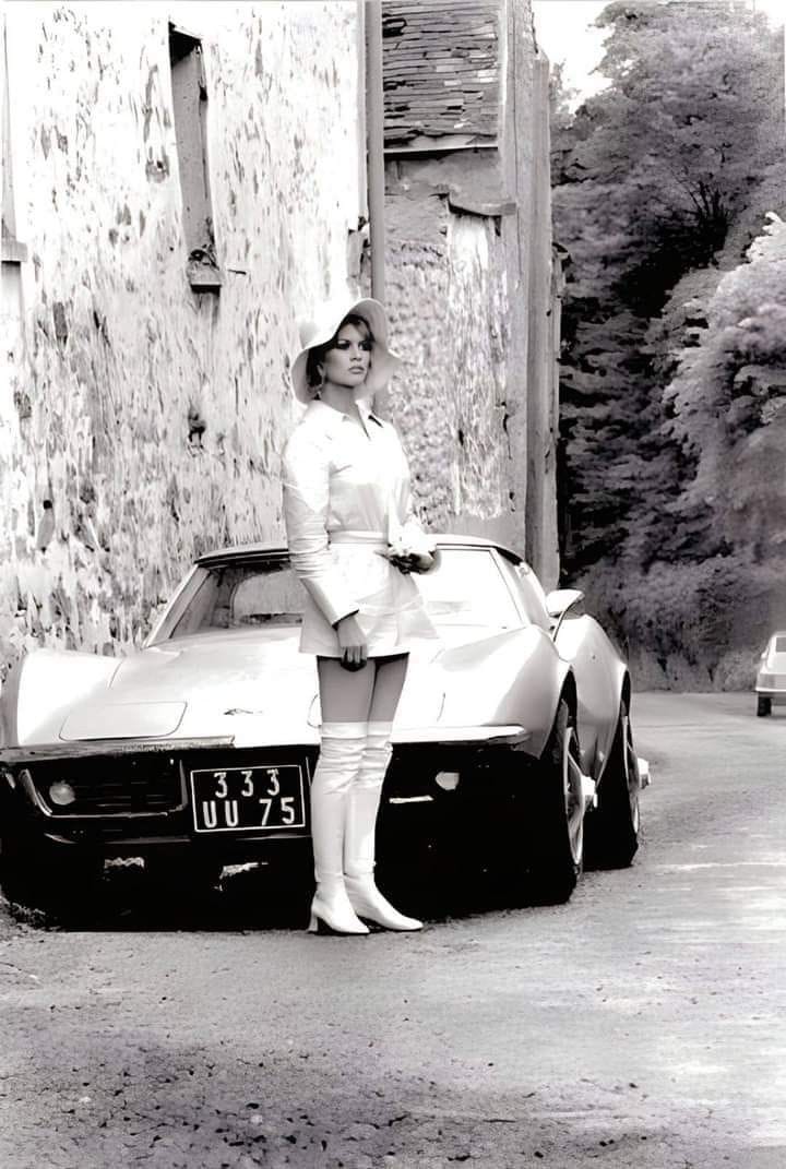 a bb vette