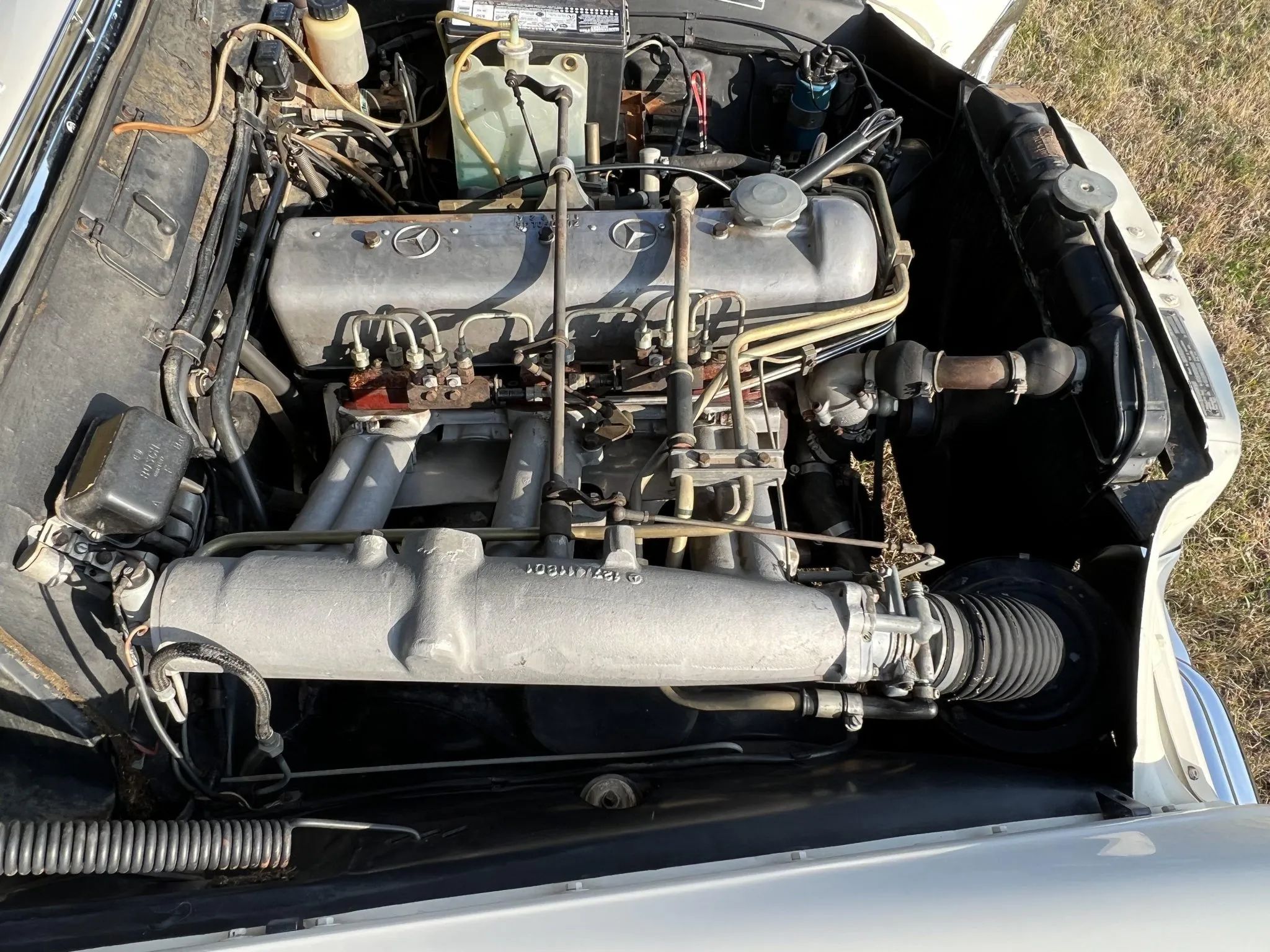 Fuel-injected six in a 220SE coupe