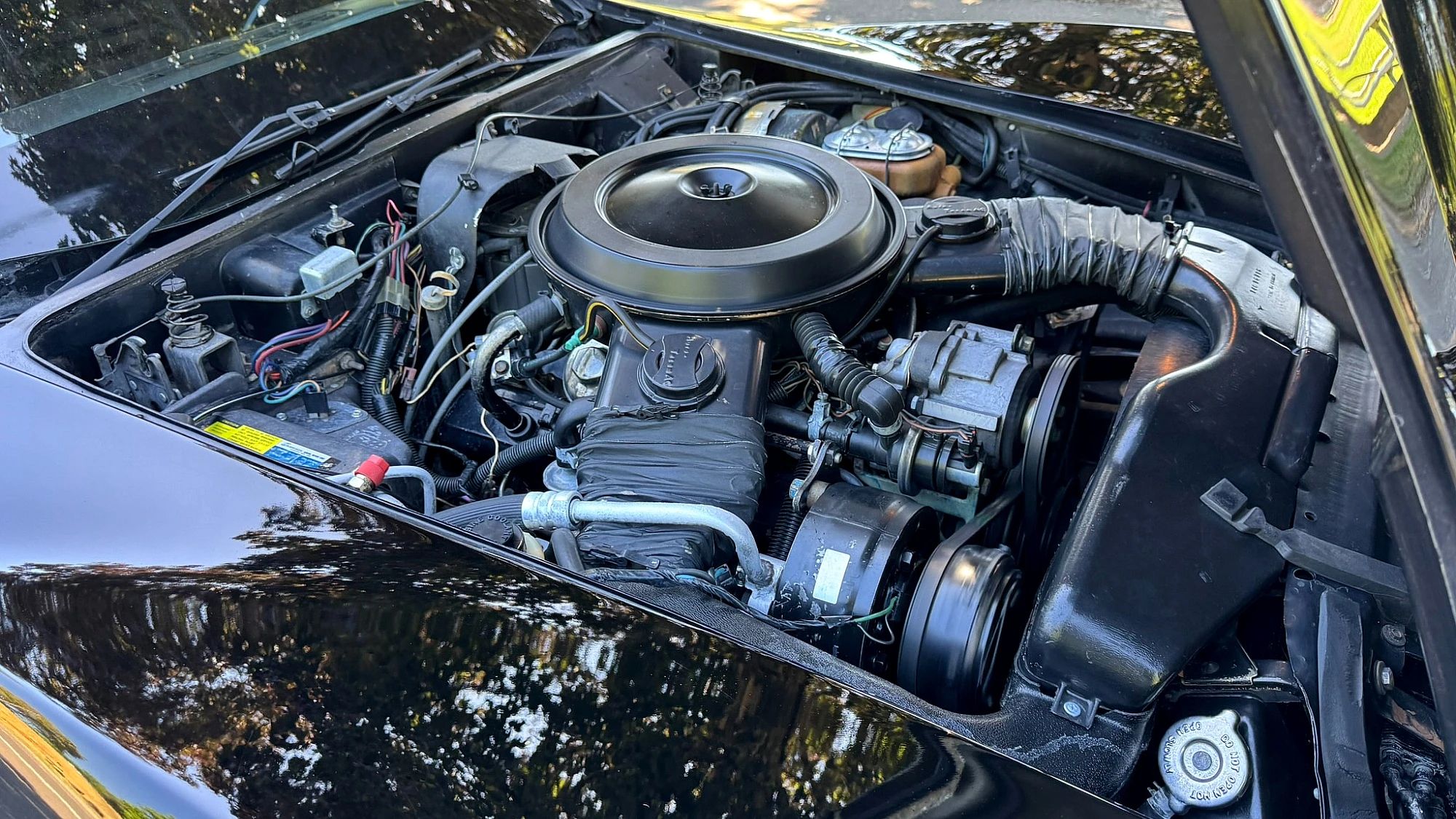 Another view of the engine in a black 1980 Corvette