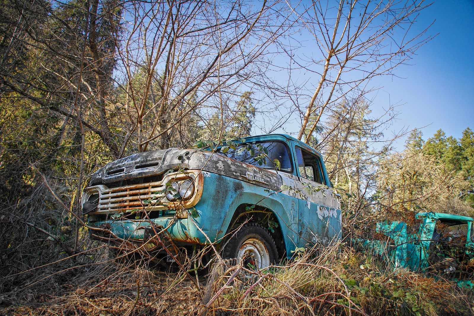 Dozens Of 1957-1960 Ford Trucks - Some People Just Know What They Really Like 5 2026 01 19 11 39 25