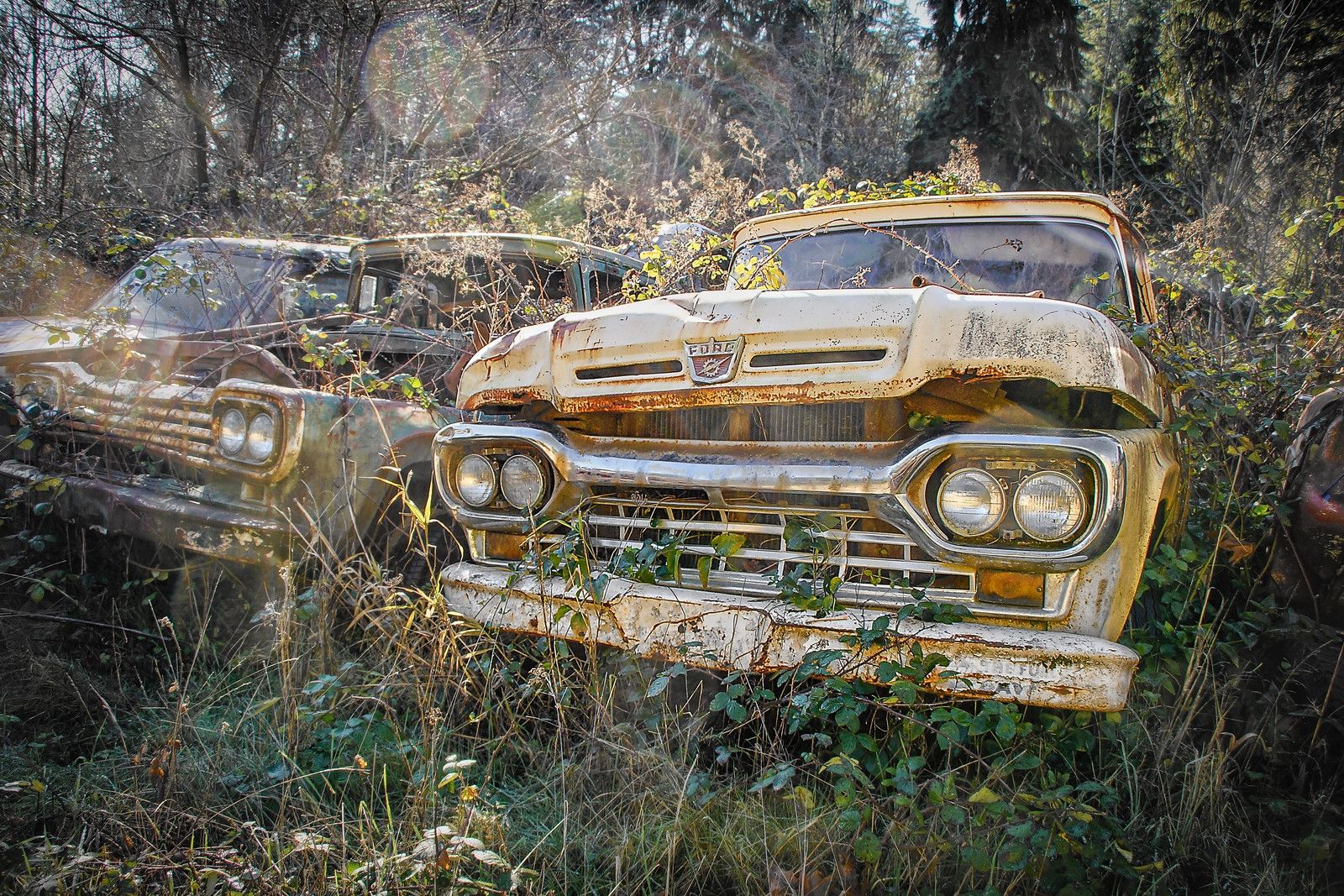 Dozens Of 1957-1960 Ford Trucks - Some People Just Know What They Really Like 7 2026 01 19 11 39 33