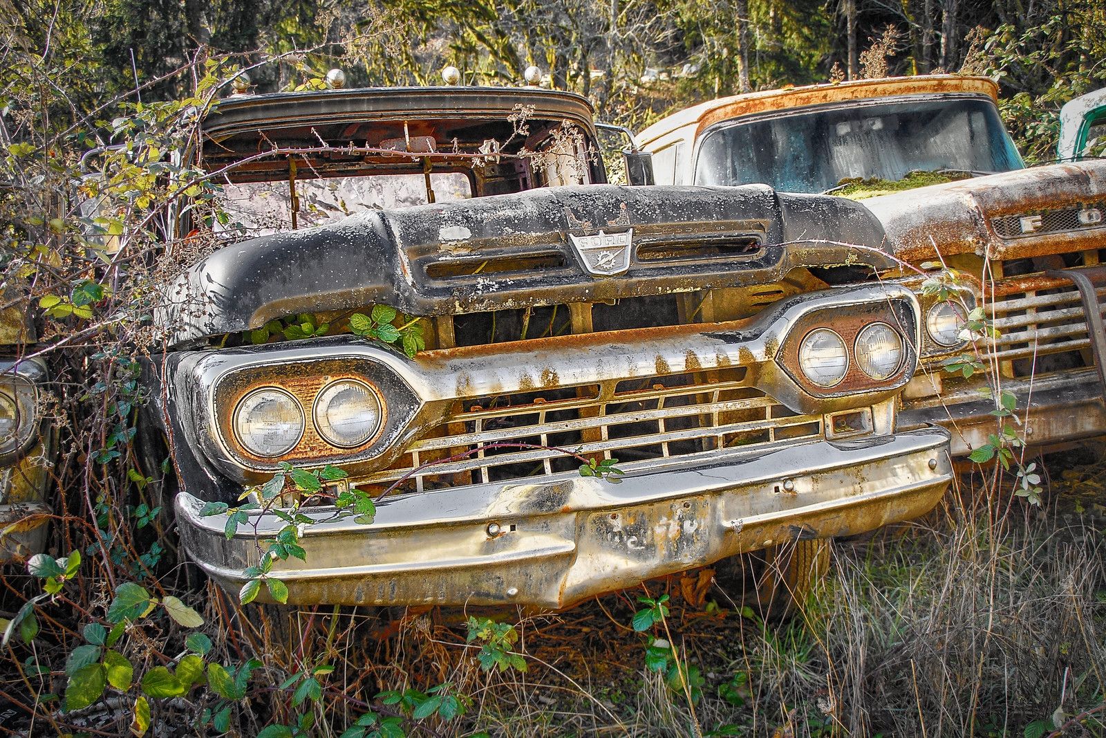 Dozens Of 1957-1960 Ford Trucks - Some People Just Know What They Really Like 6 2026 01 19 11 39 39