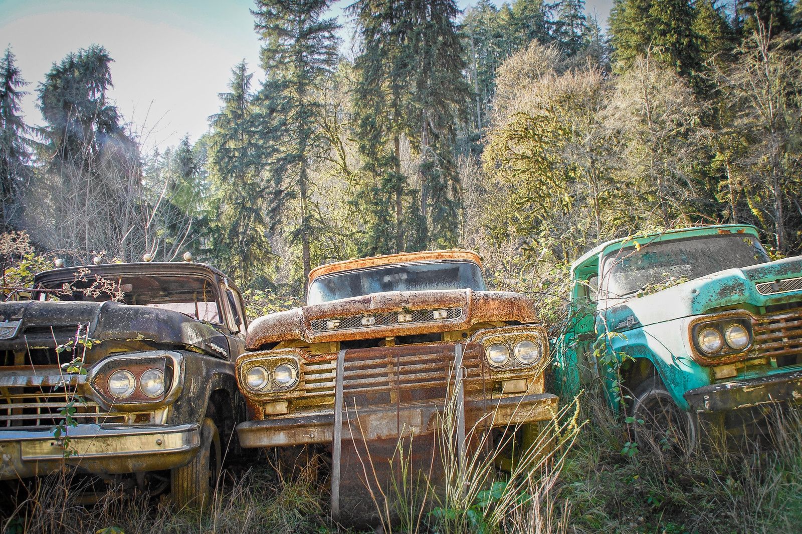 Dozens Of 1957-1960 Ford Trucks - Some People Just Know What They Really Like 1 1958-1960 Ford trucks