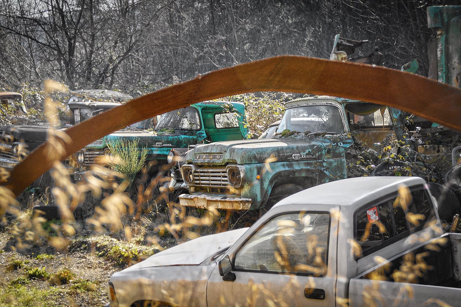Dozens Of 1957-1960 Ford Trucks - Some People Just Know What They Really Like 2 2026 01 19 11 40 02