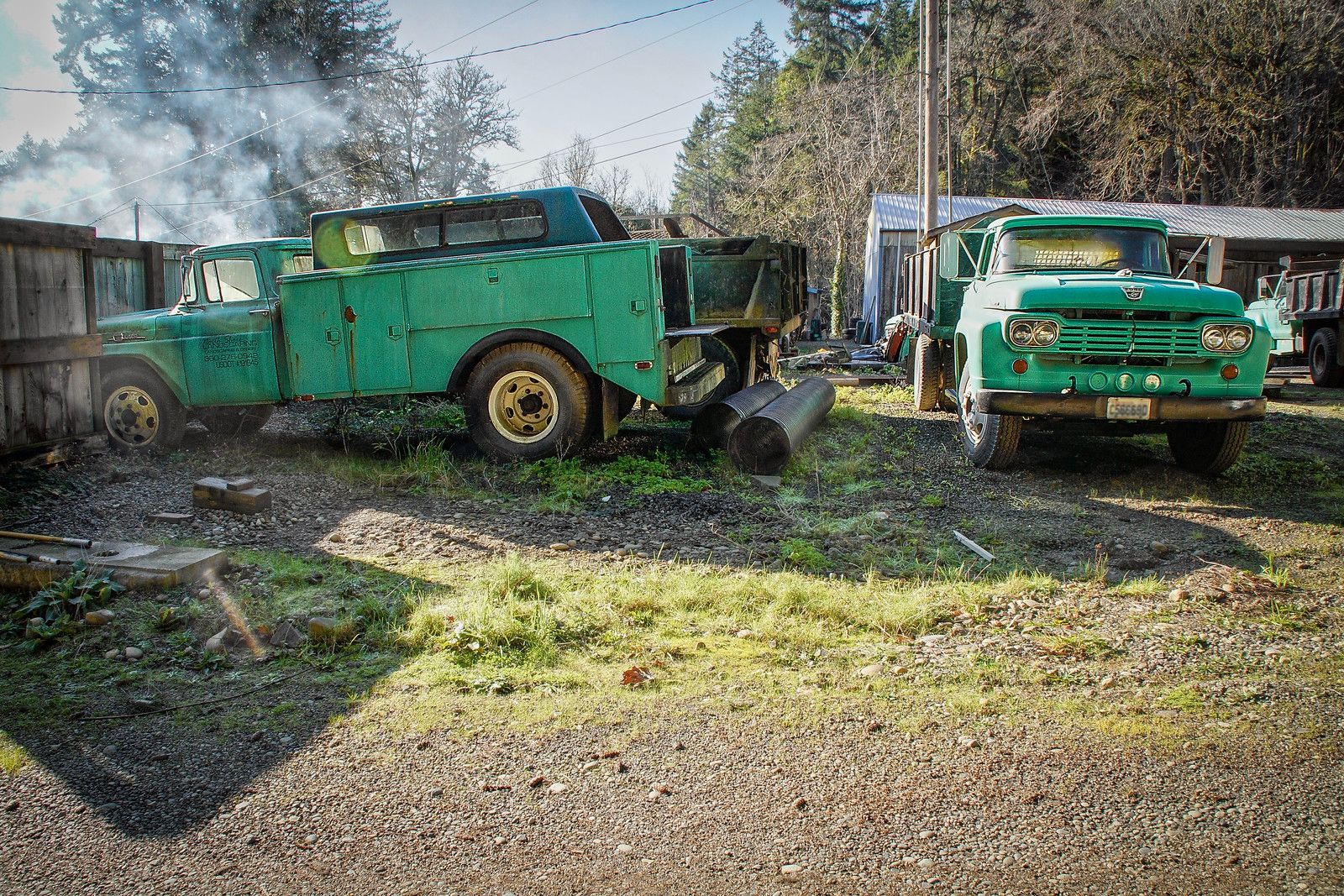 Dozens Of 1957-1960 Ford Trucks - Some People Just Know What They Really Like 10 2026 01 22 12 06 16