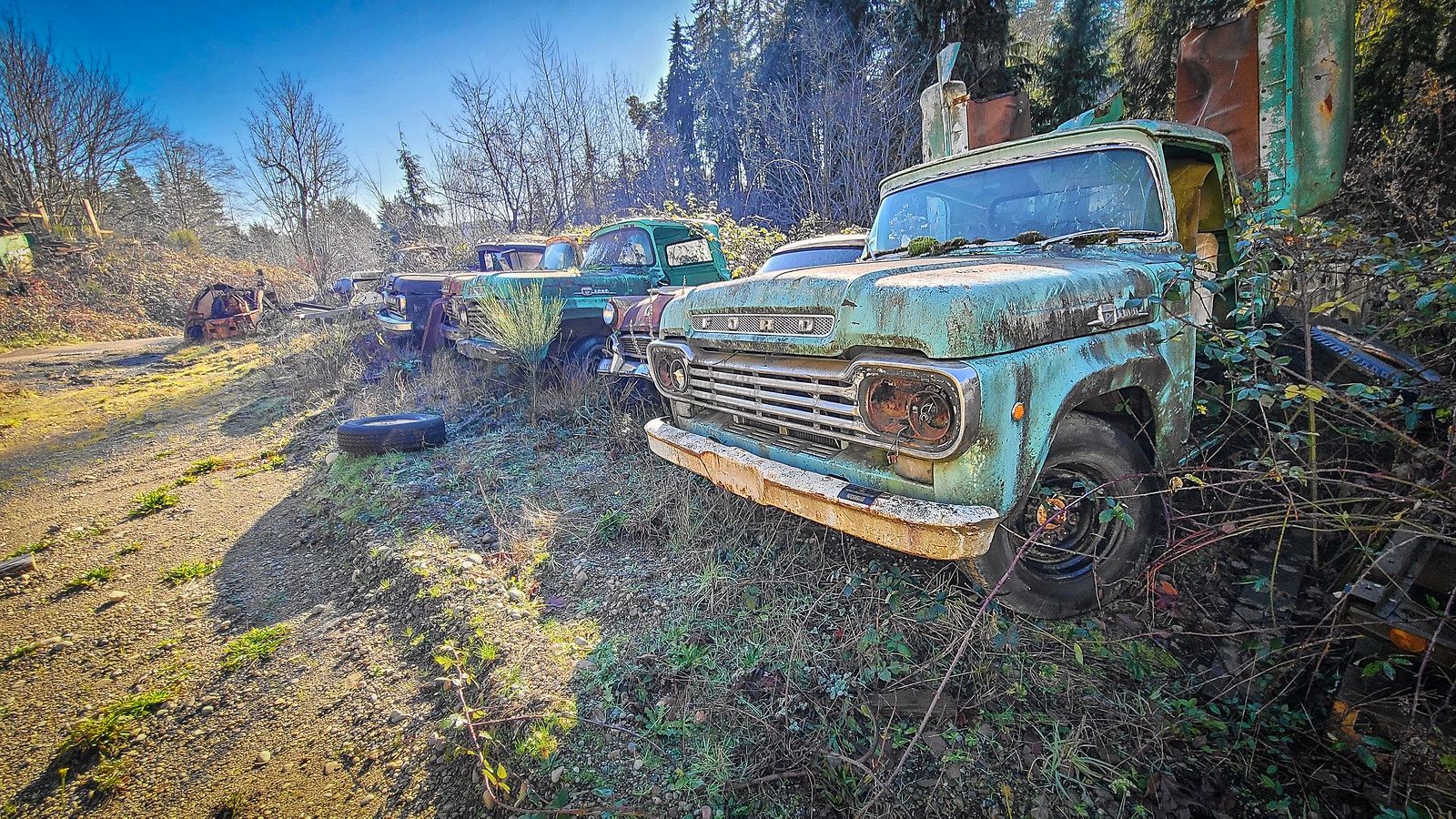 Dozens Of 1957-1960 Ford Trucks - Some People Just Know What They Really Like 4 2026 01 22 12 06 24