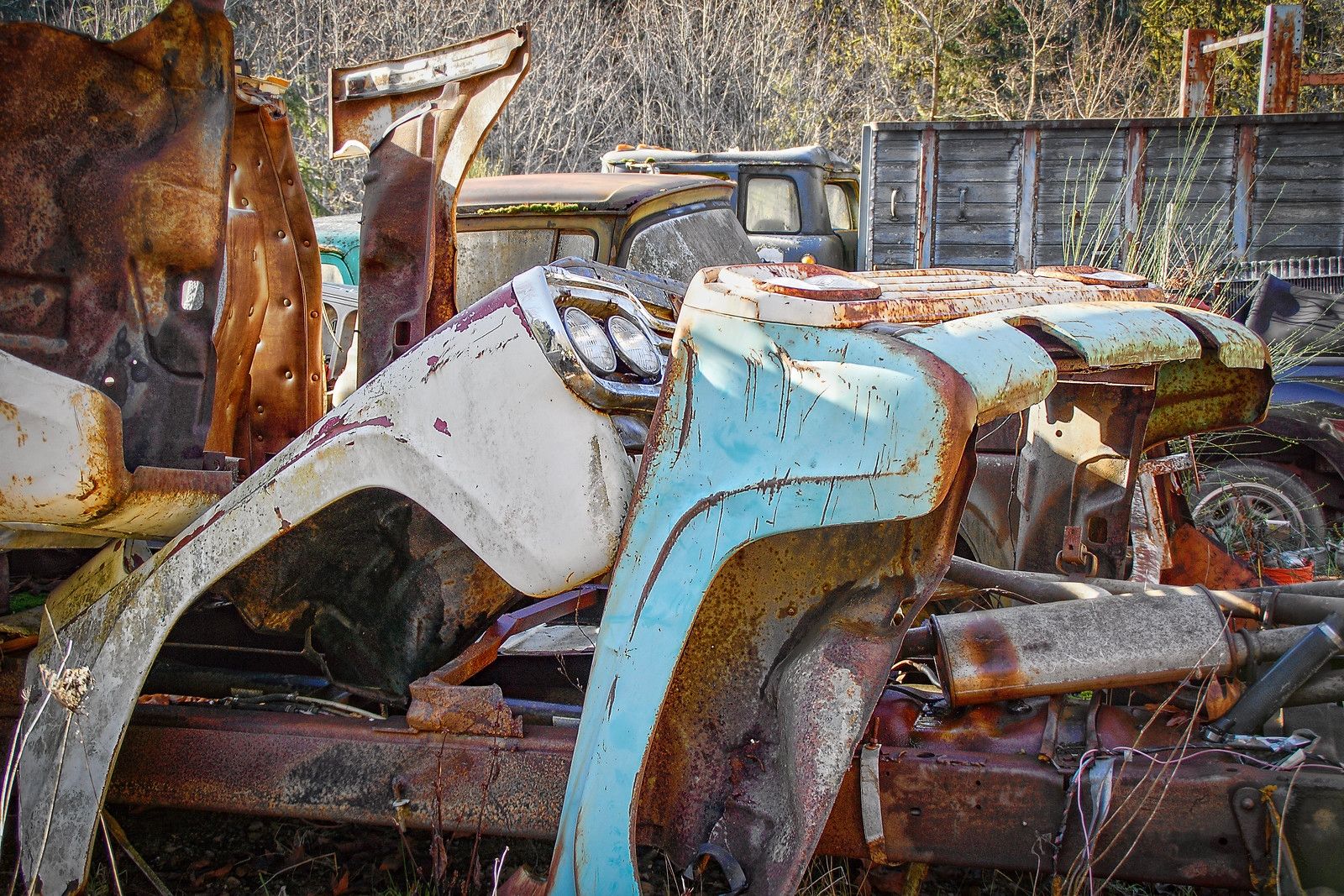 Dozens Of 1957-1960 Ford Trucks - Some People Just Know What They Really Like 12 2026 01 22 12 06 54