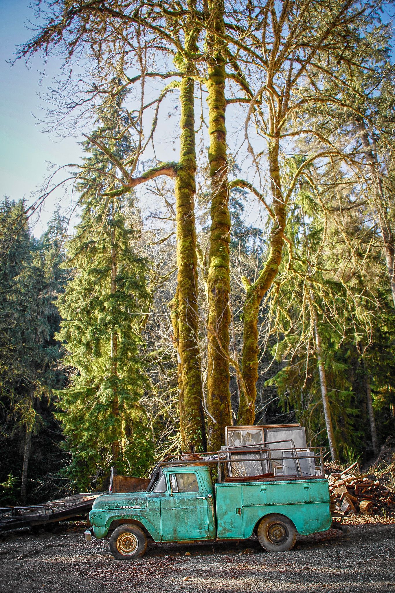 Dozens Of 1957-1960 Ford Trucks - Some People Just Know What They Really Like 3 2026 01 22 12 07 02 1